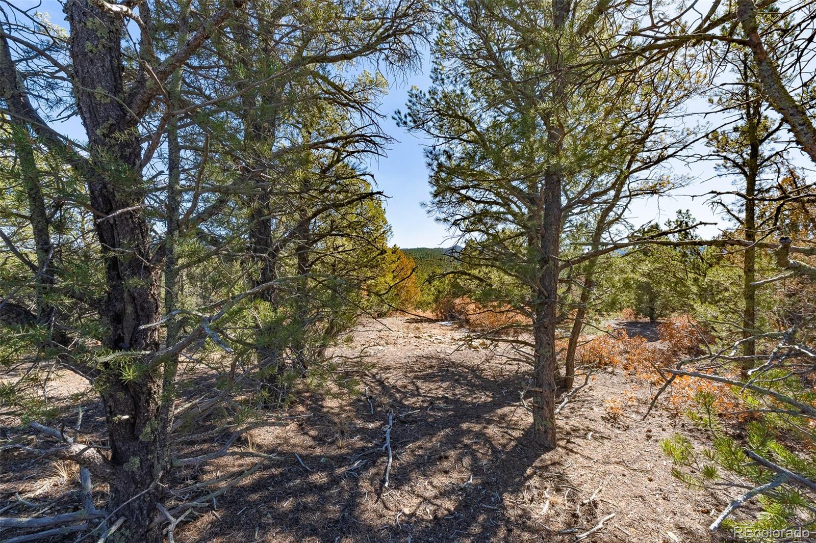 29870 County Road 16 Trinidad CO 81082