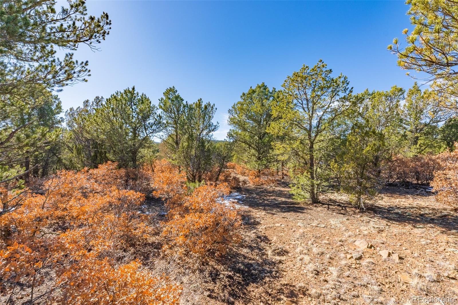 29870 County Road 16 Trinidad CO 81082