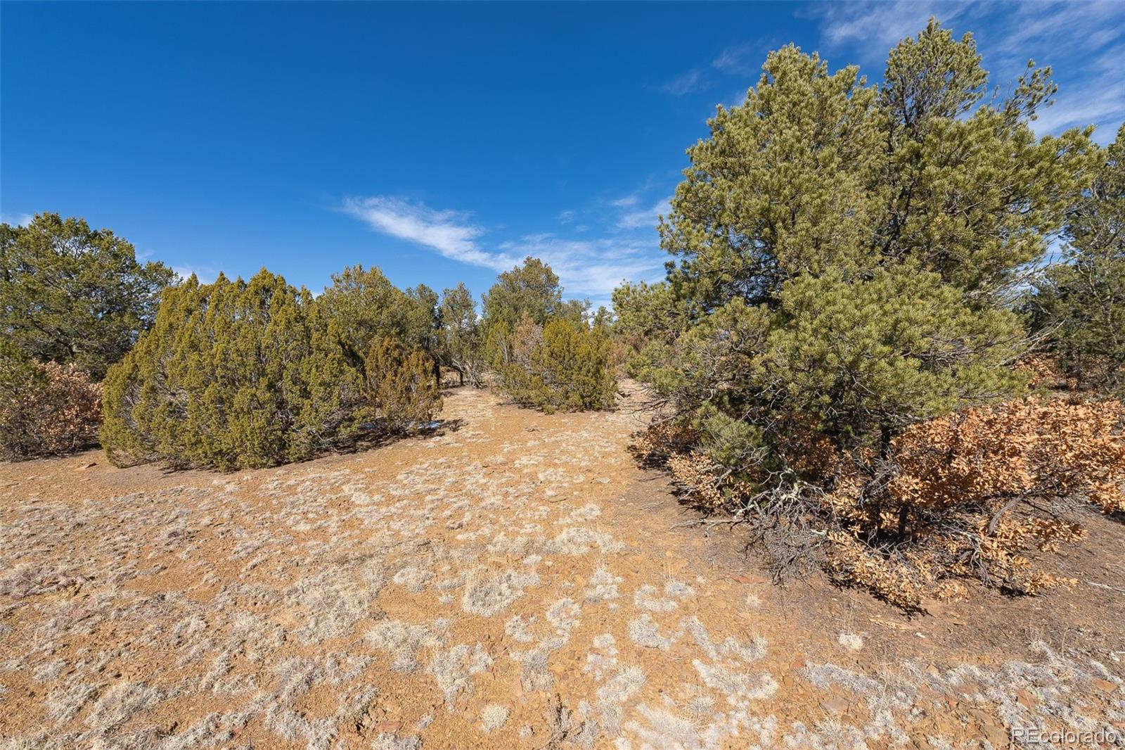 29870 County Road 16 Trinidad CO 81082