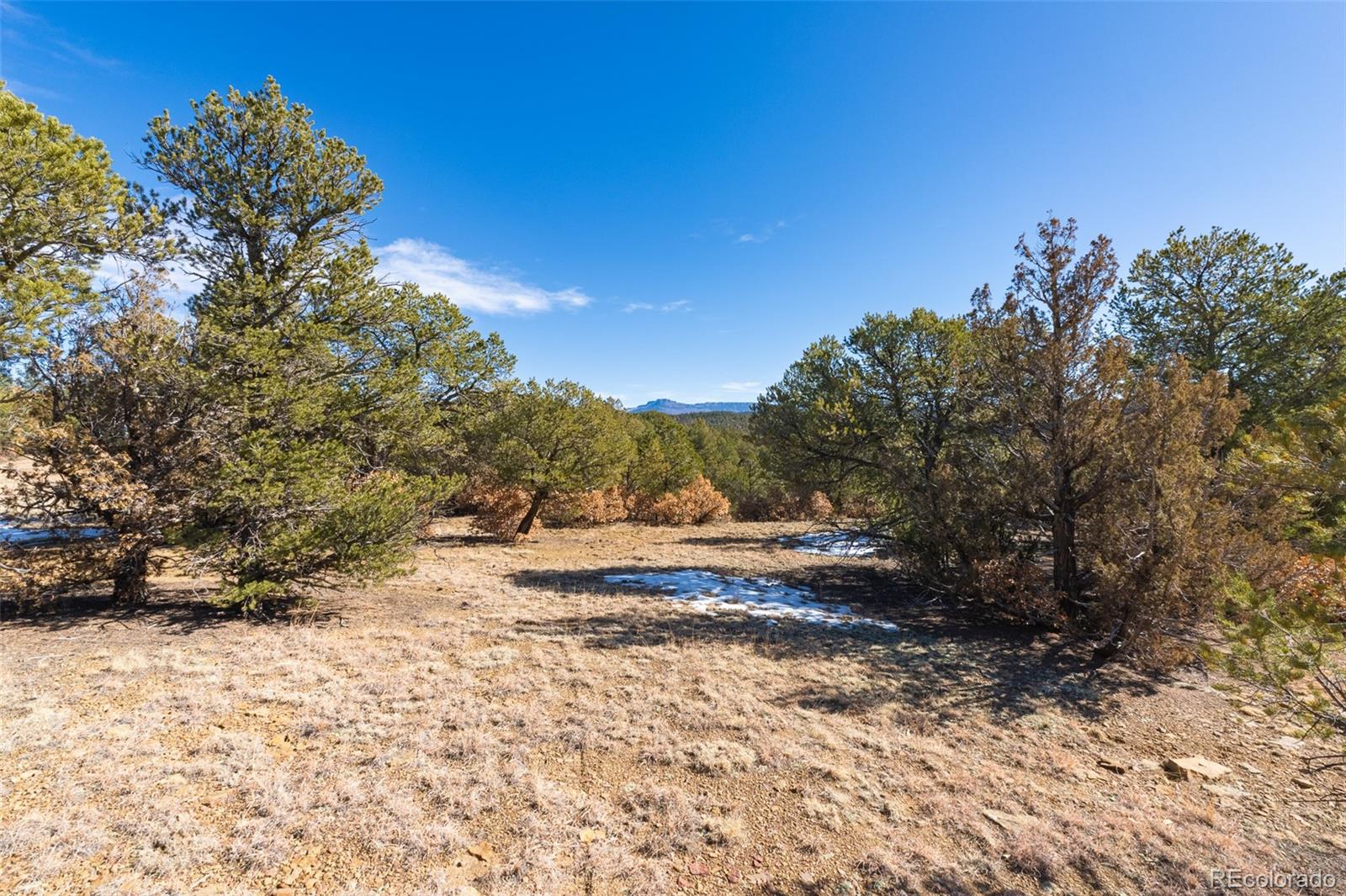 29870 County Road 16 Trinidad CO 81082
