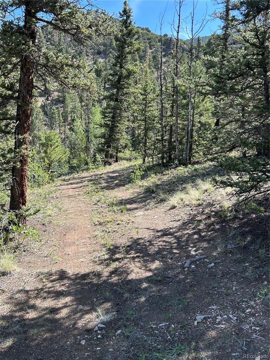 Highway 285/24 Buena Vista CO 81211