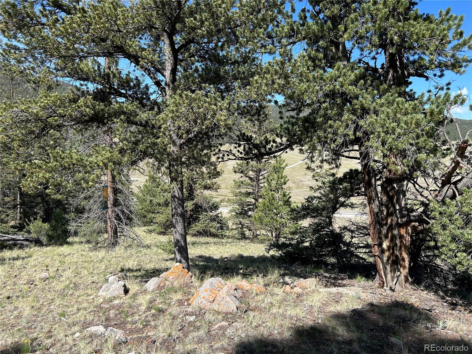 Highway 285/24 Buena Vista CO 81211
