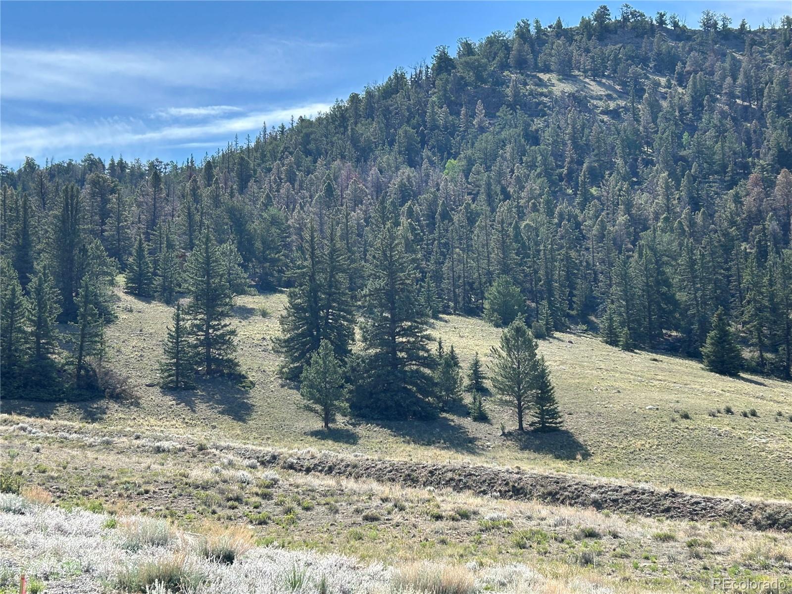 Highway 285/24 Buena Vista CO 81211