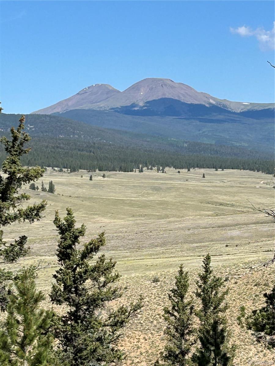Highway 285/24 Buena Vista CO 81211