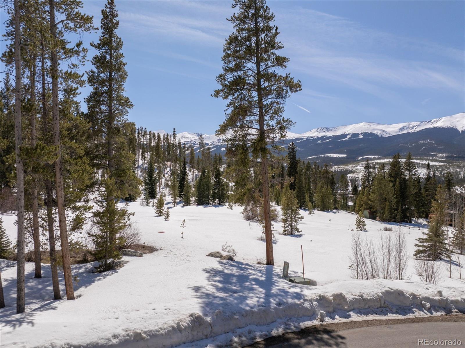 203 Spalding Terrace Breckenridge CO 80424