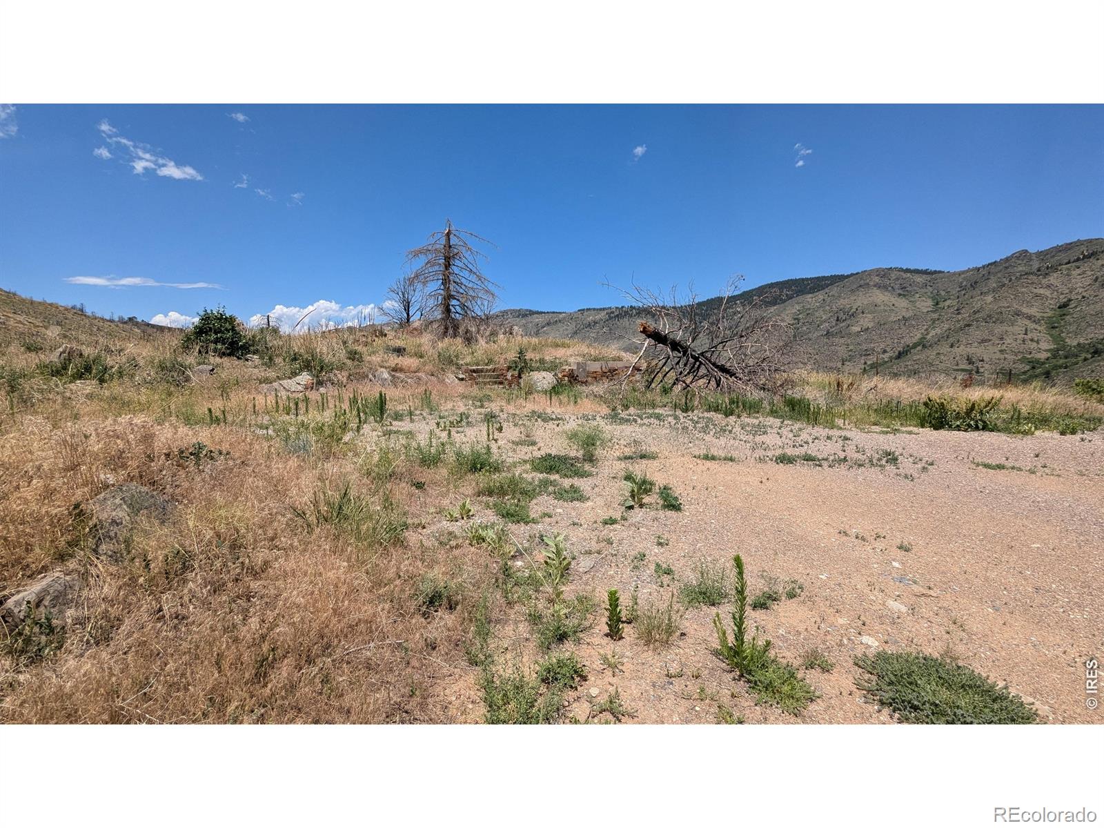 439 Redtail Ridge Way Bellvue CO 80512