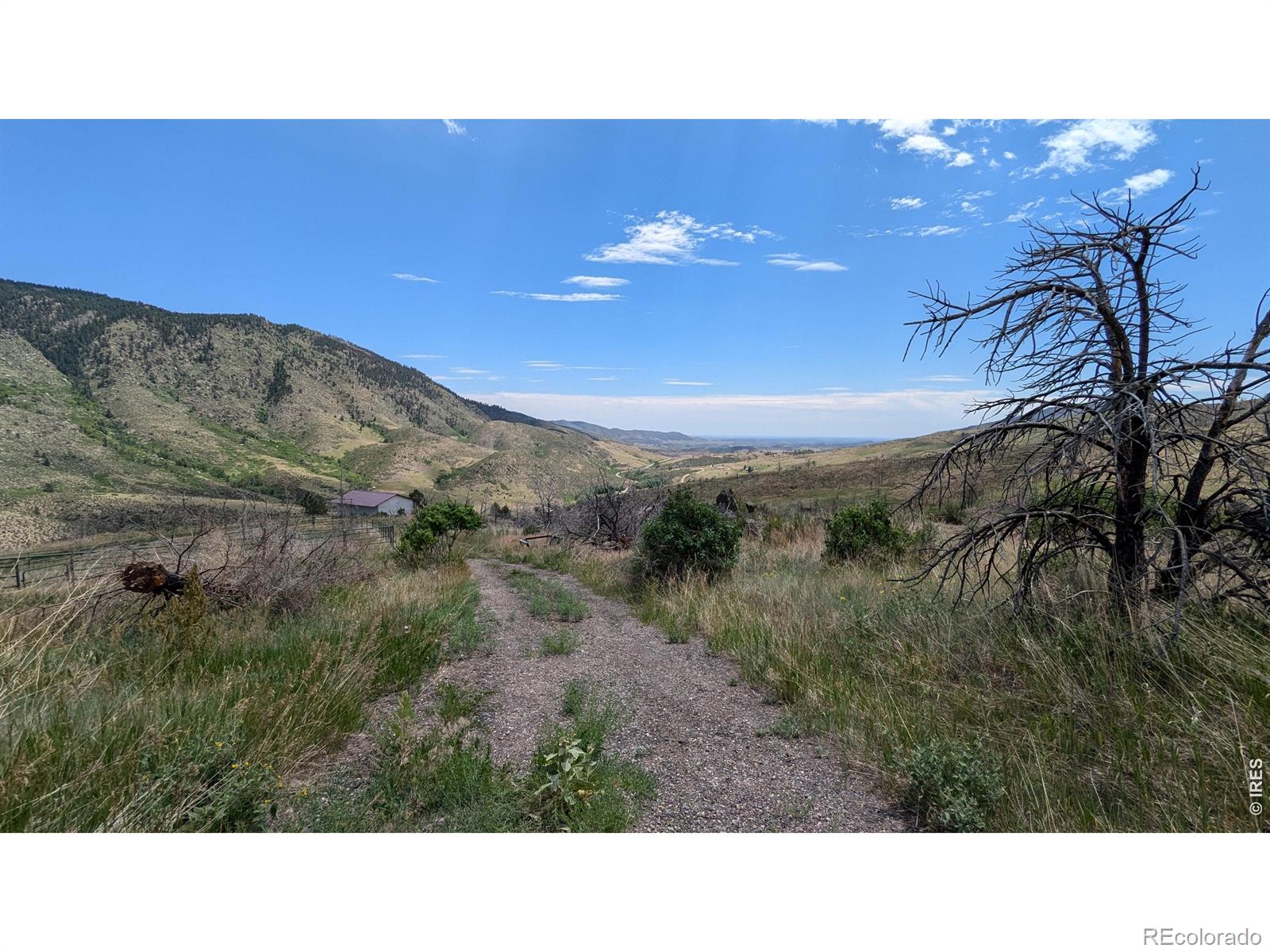 439 Redtail Ridge Way Bellvue CO 80512