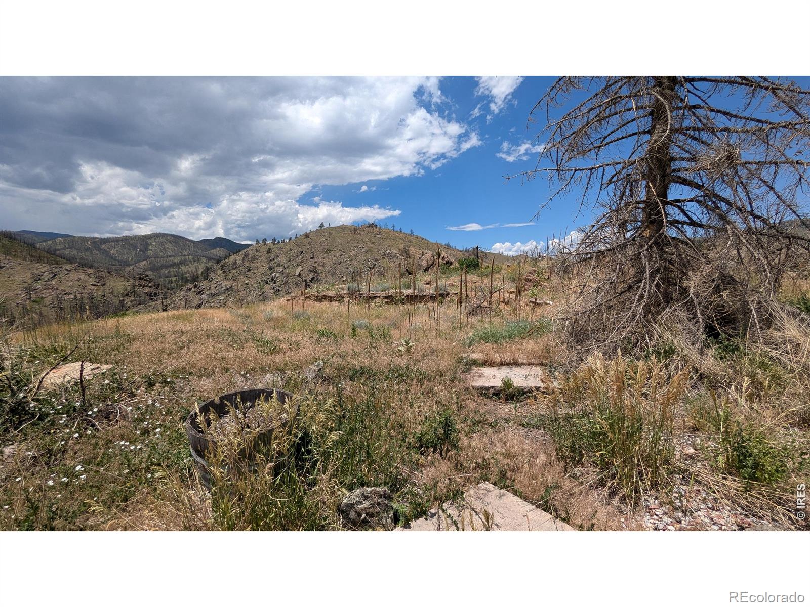 439 Redtail Ridge Way Bellvue CO 80512