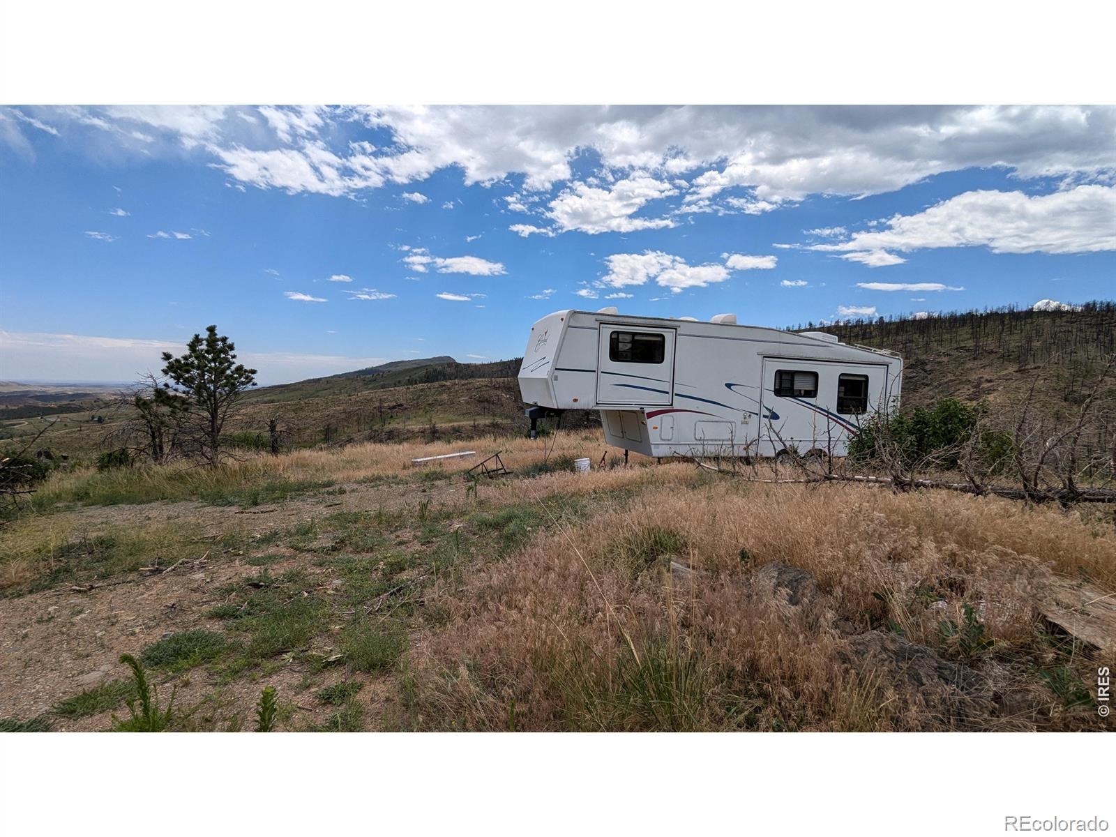 439 Redtail Ridge Way Bellvue CO 80512