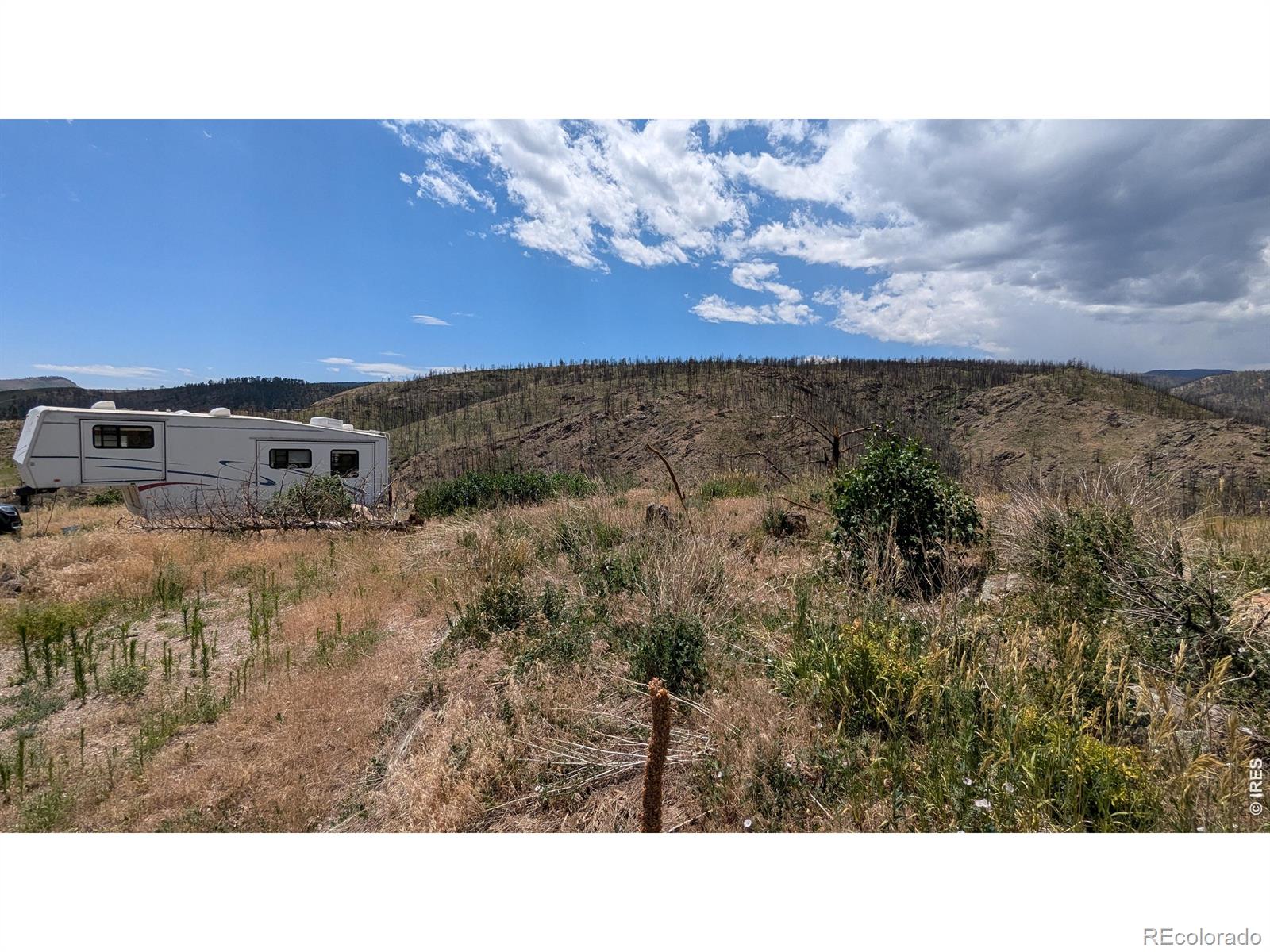 439 Redtail Ridge Way Bellvue CO 80512