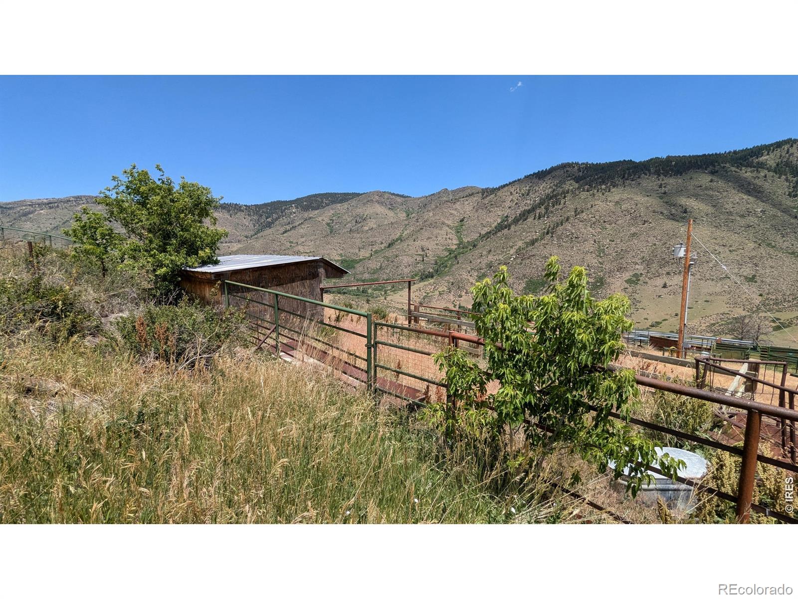 439 Redtail Ridge Way Bellvue CO 80512