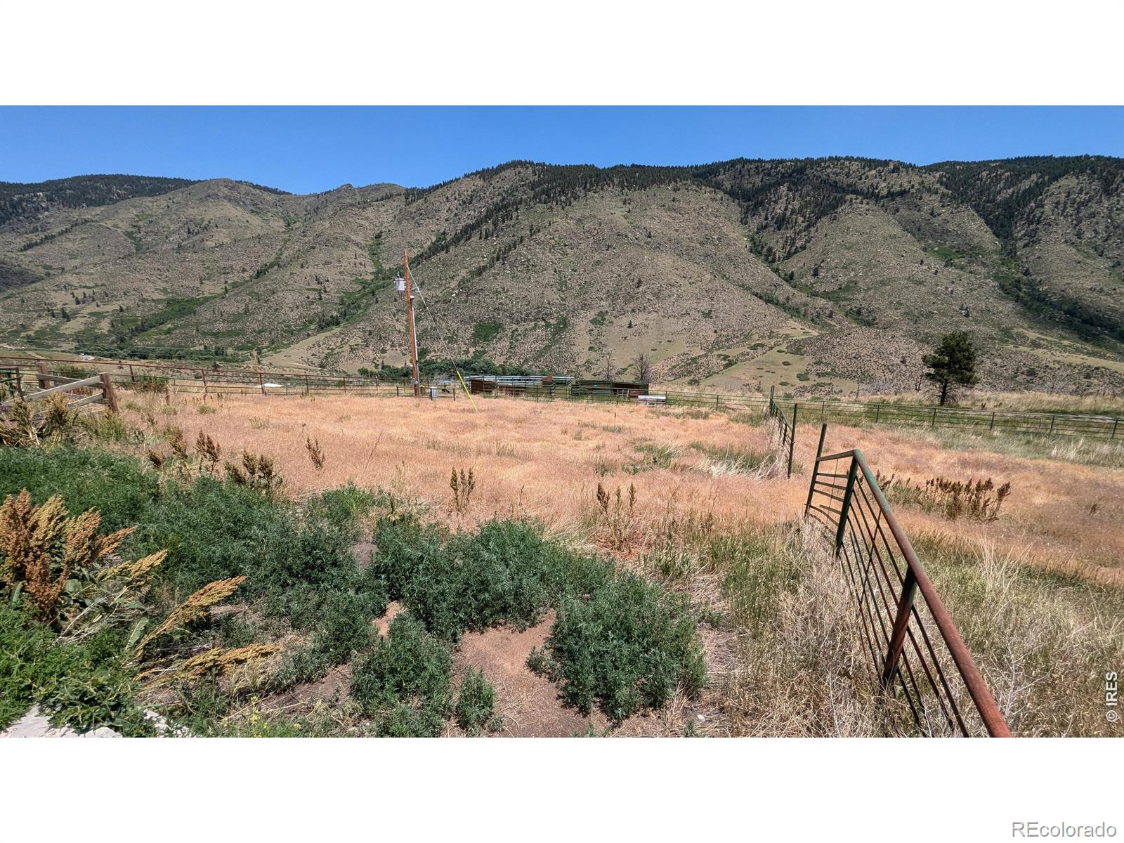 439 Redtail Ridge Way Bellvue CO 80512