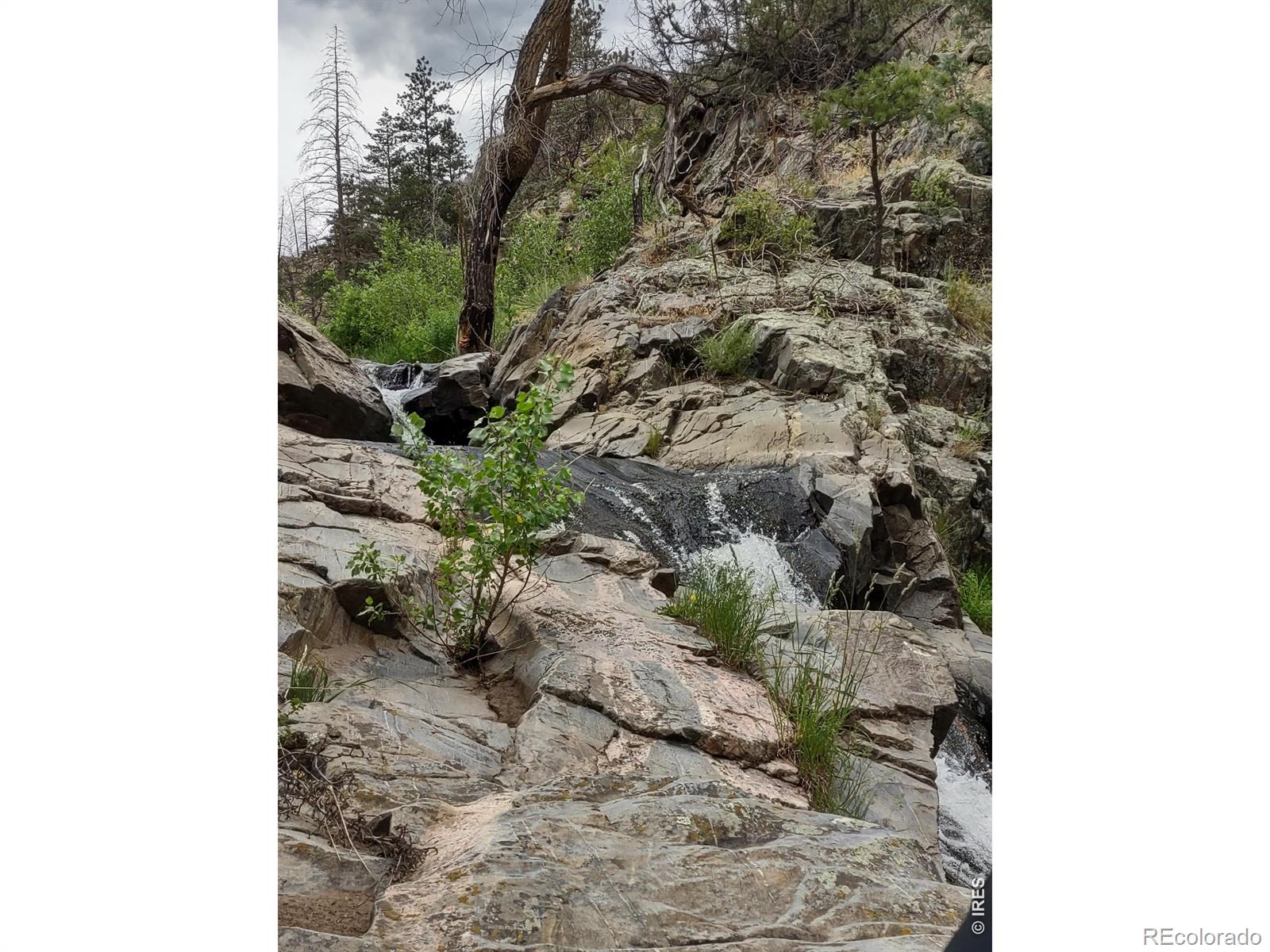 439 Redtail Ridge Way Bellvue CO 80512