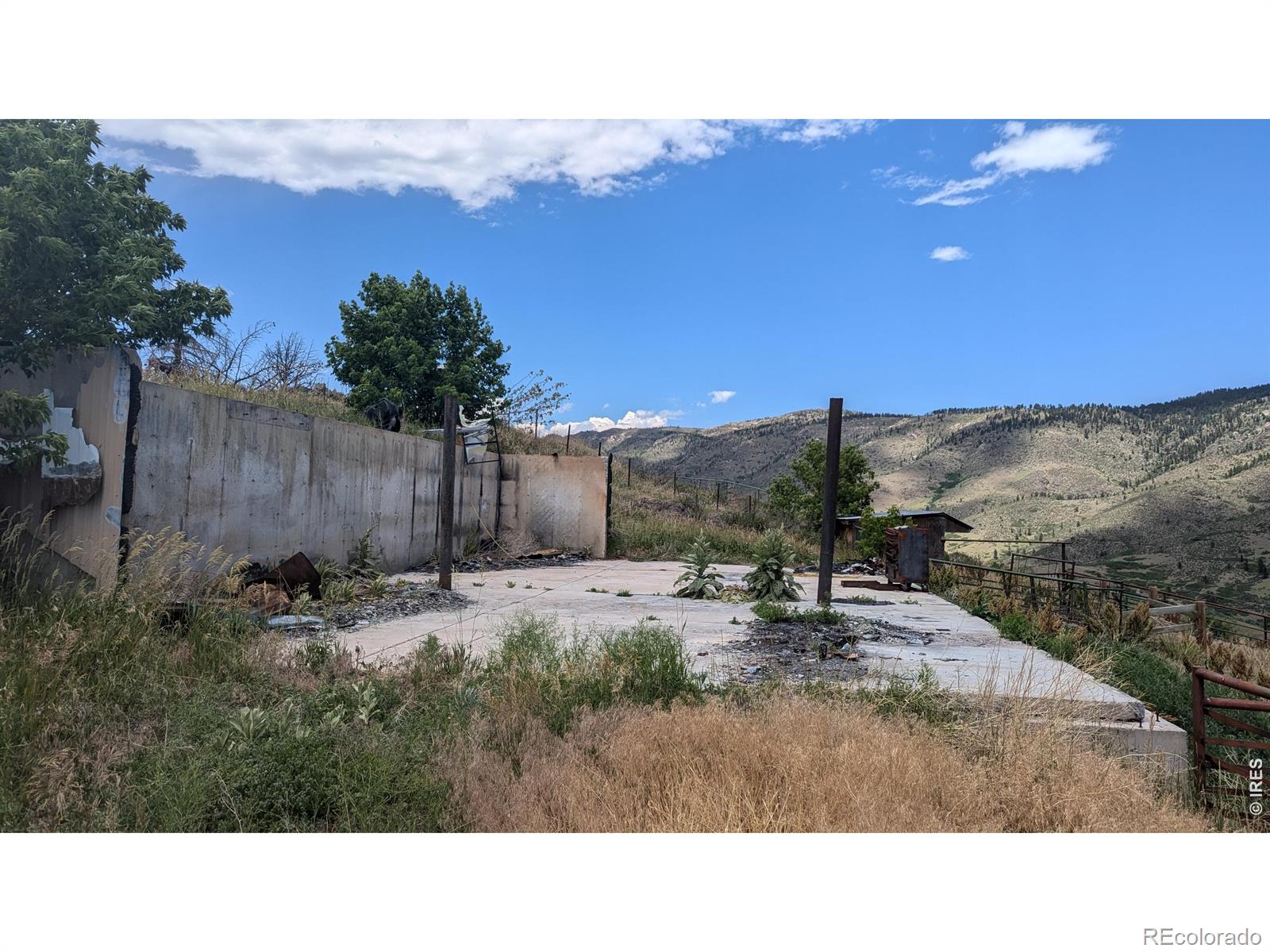 439 Redtail Ridge Way Bellvue CO 80512