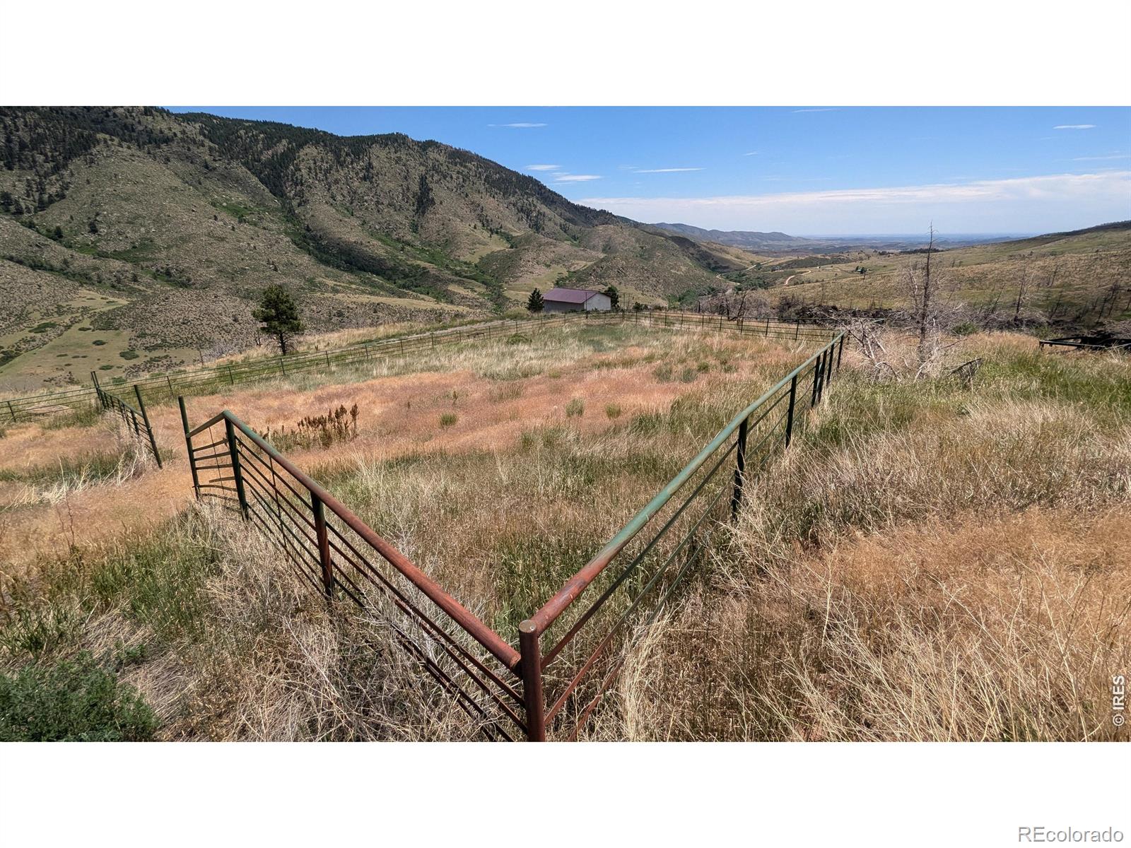 439 Redtail Ridge Way Bellvue CO 80512
