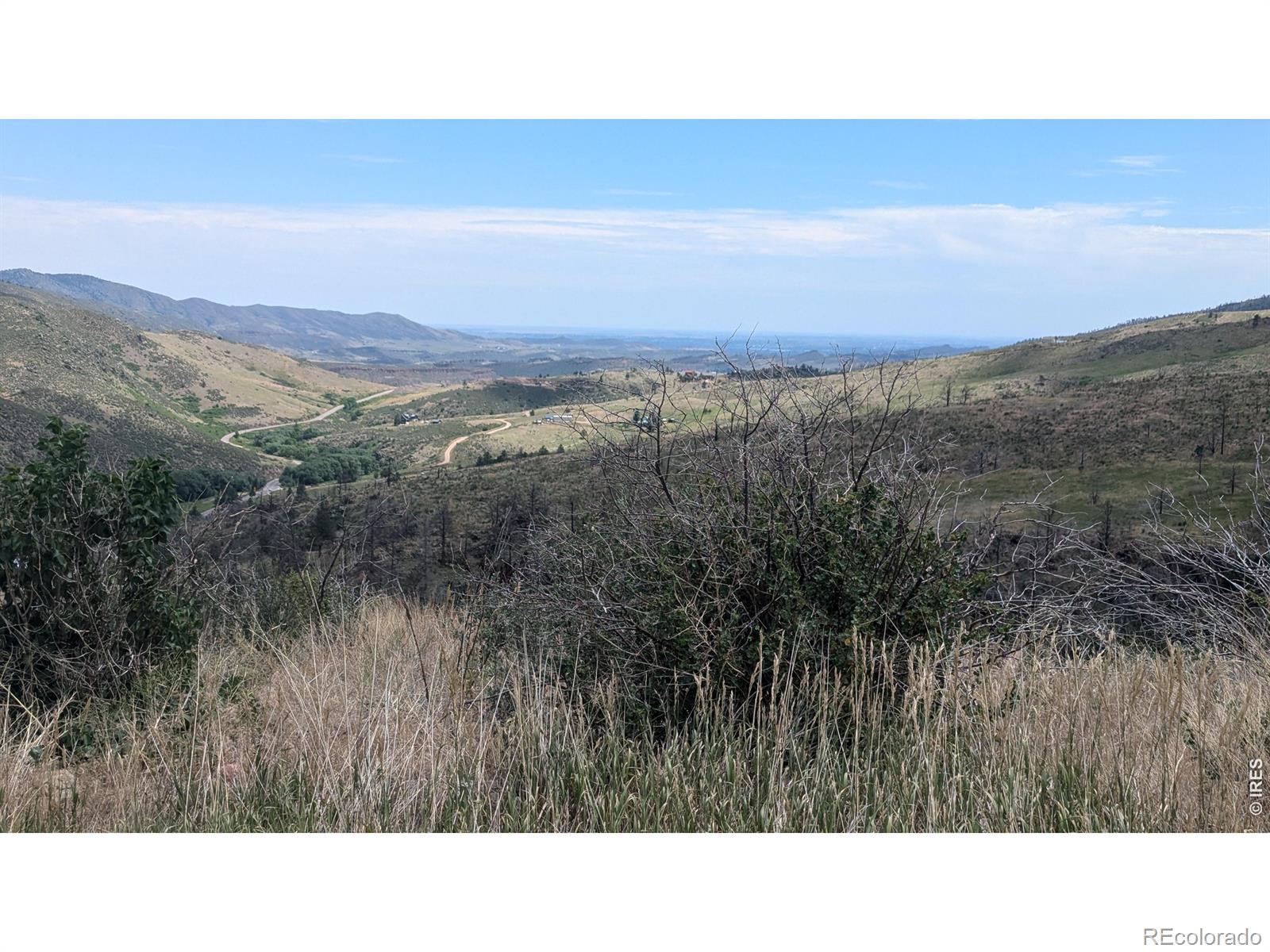 439 Redtail Ridge Way Bellvue CO 80512