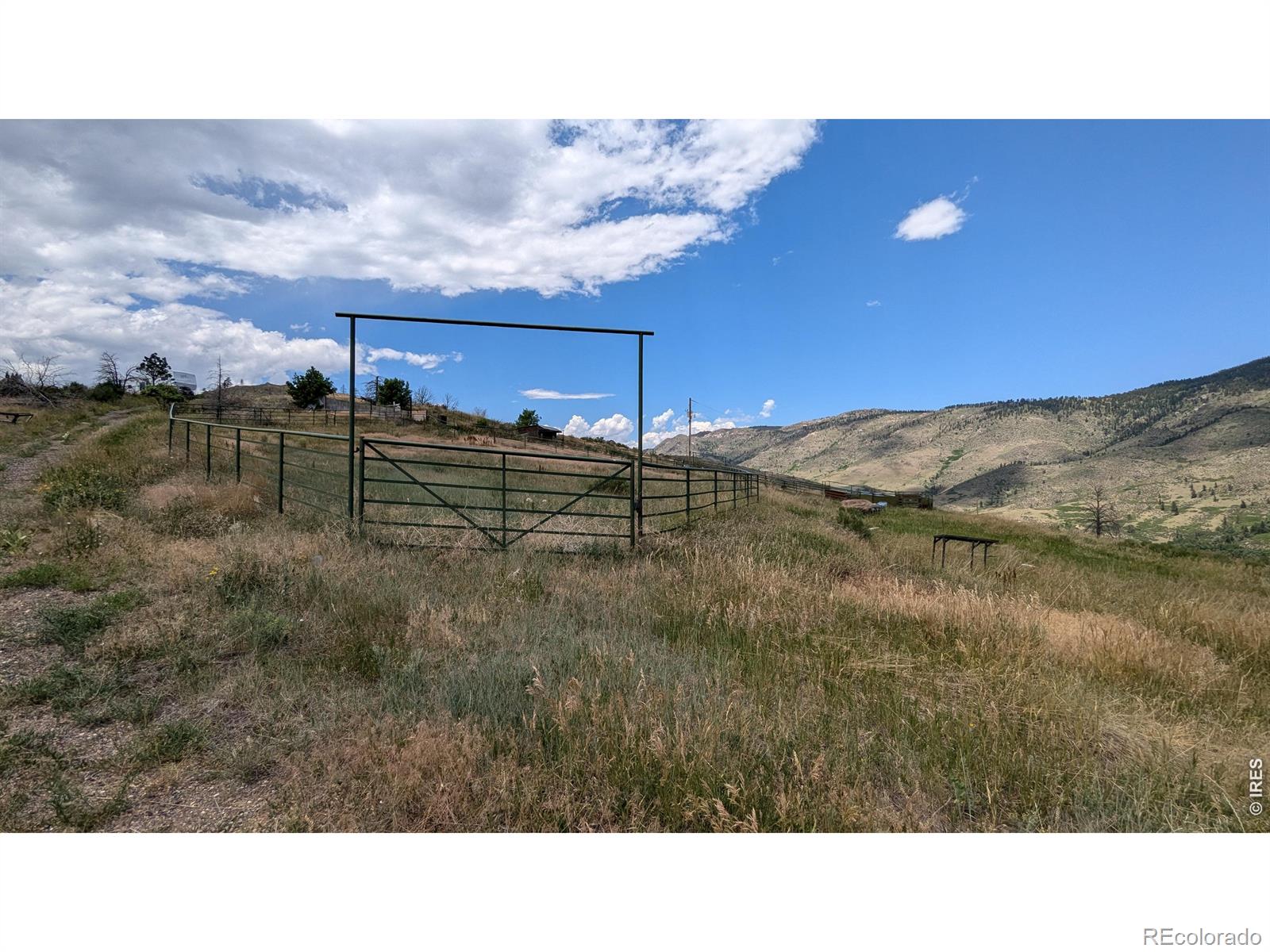 439 Redtail Ridge Way Bellvue CO 80512