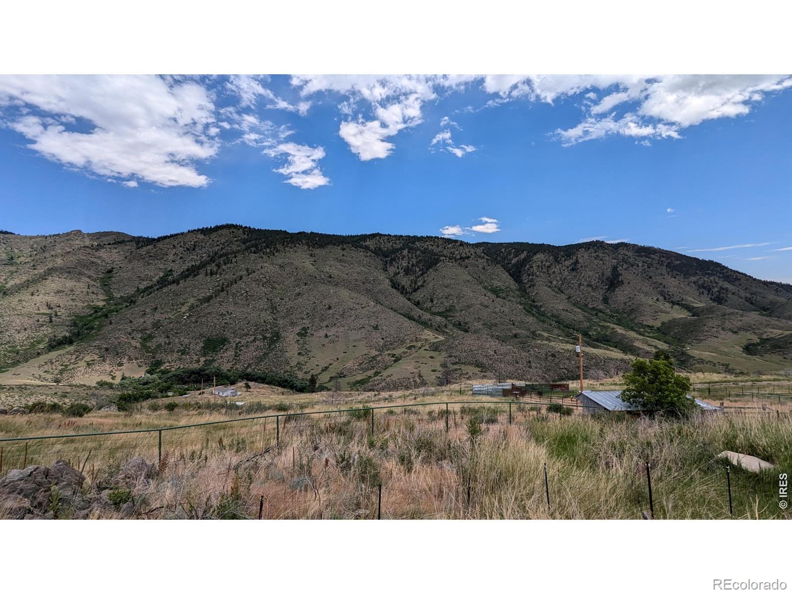 439 Redtail Ridge Way Bellvue CO 80512