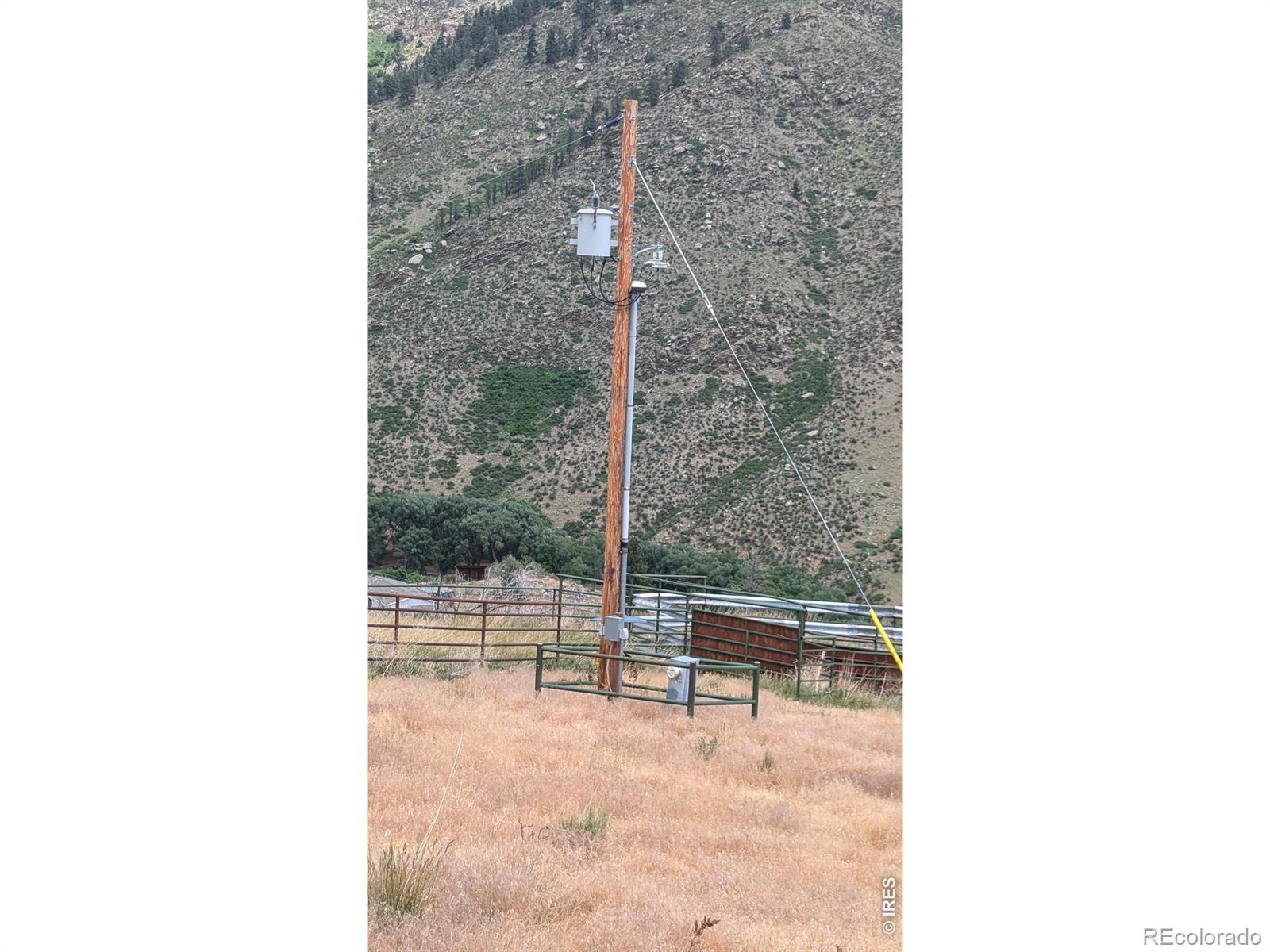 439 Redtail Ridge Way Bellvue CO 80512