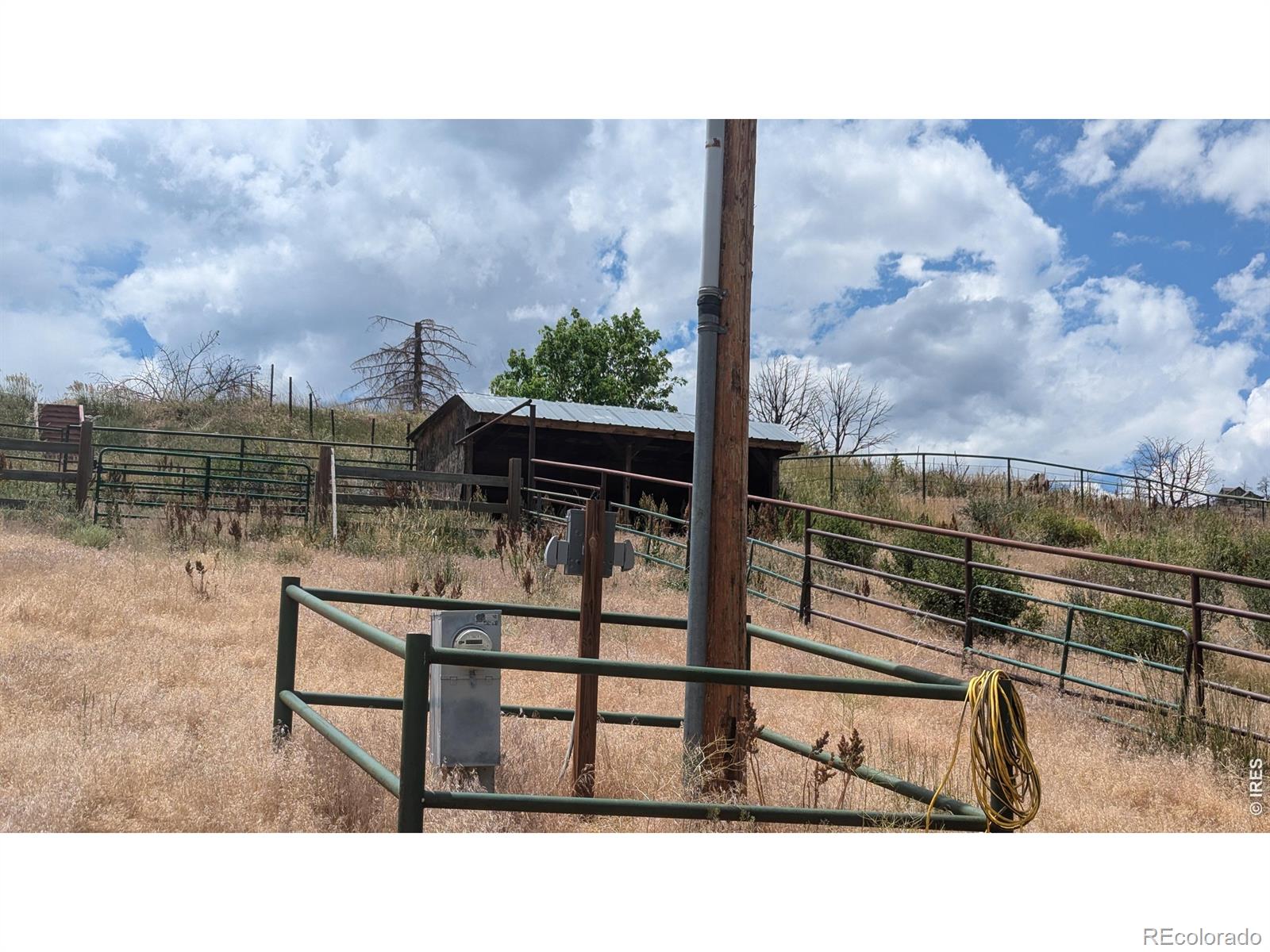 439 Redtail Ridge Way Bellvue CO 80512