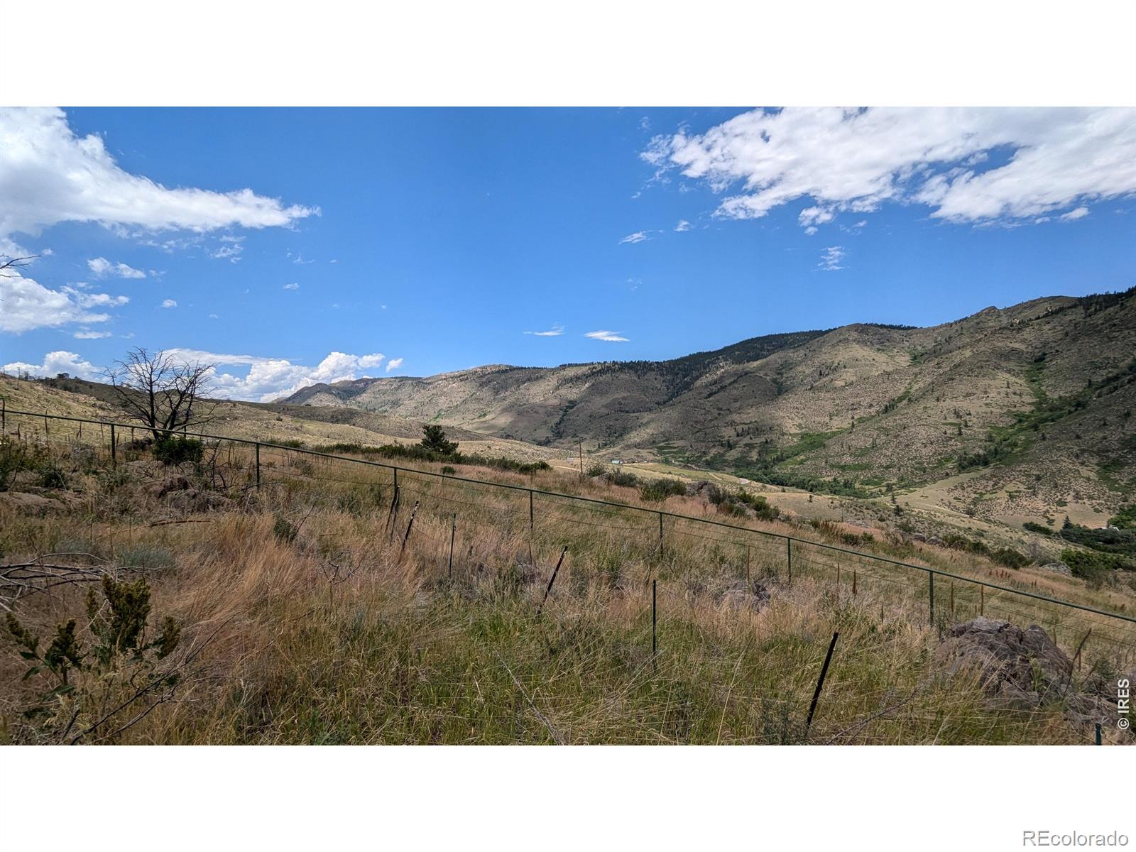 439 Redtail Ridge Way Bellvue CO 80512