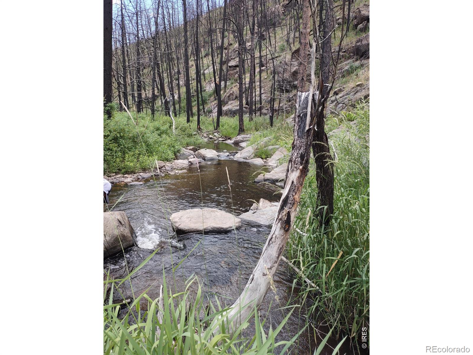 439 Redtail Ridge Way Bellvue CO 80512