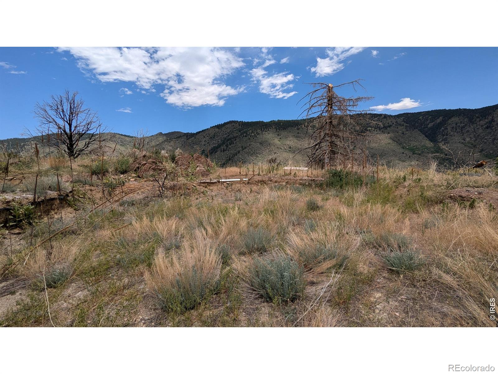 439 Redtail Ridge Way Bellvue CO 80512