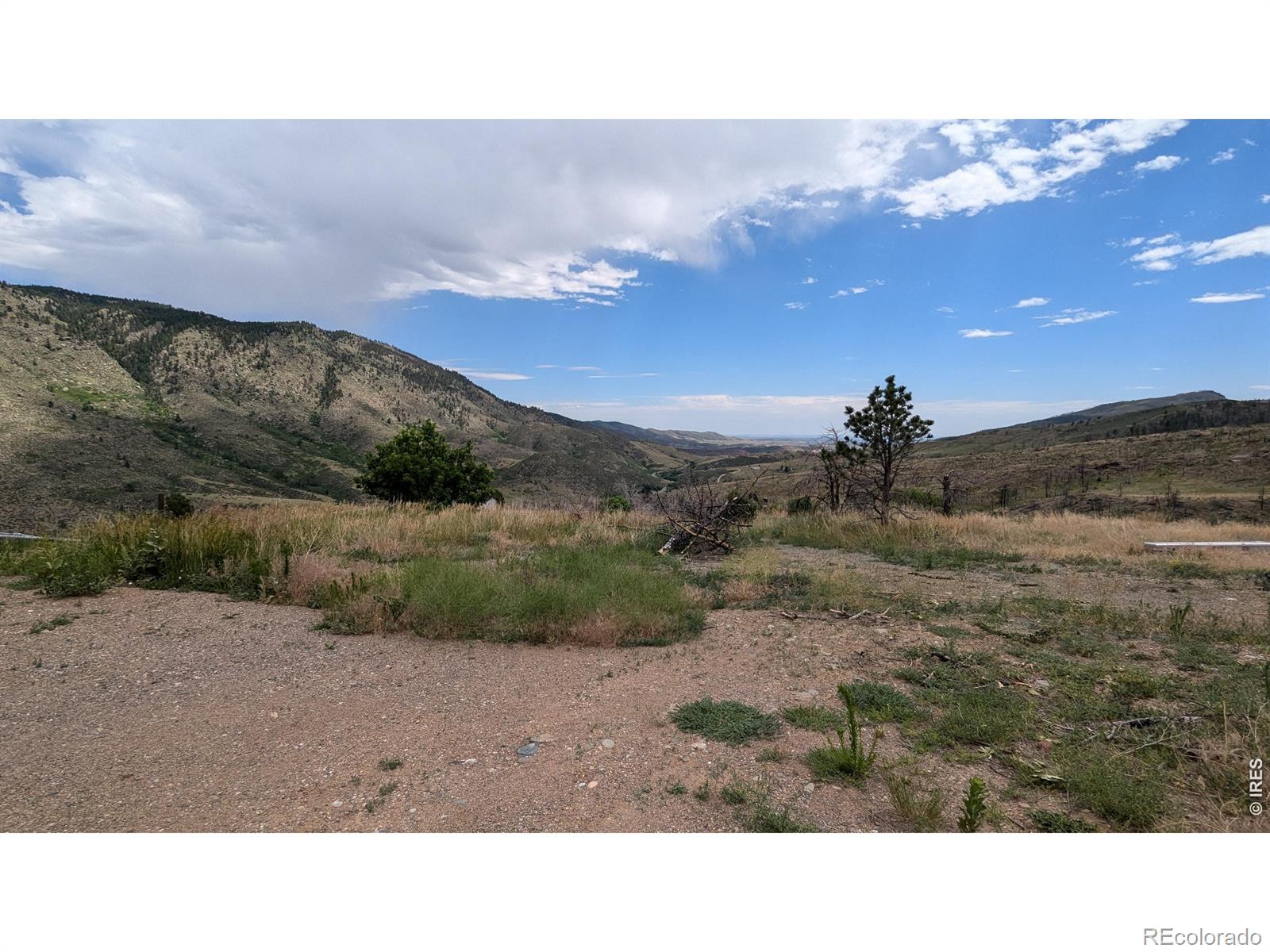 439 Redtail Ridge Way Bellvue CO 80512