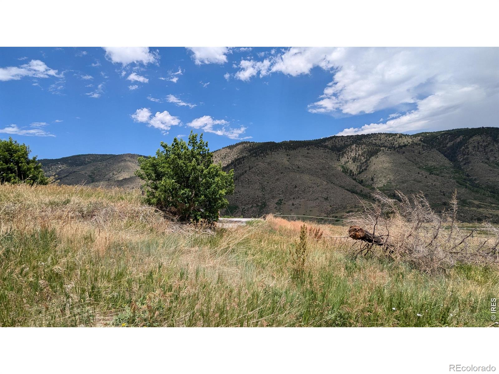 439 Redtail Ridge Way Bellvue CO 80512