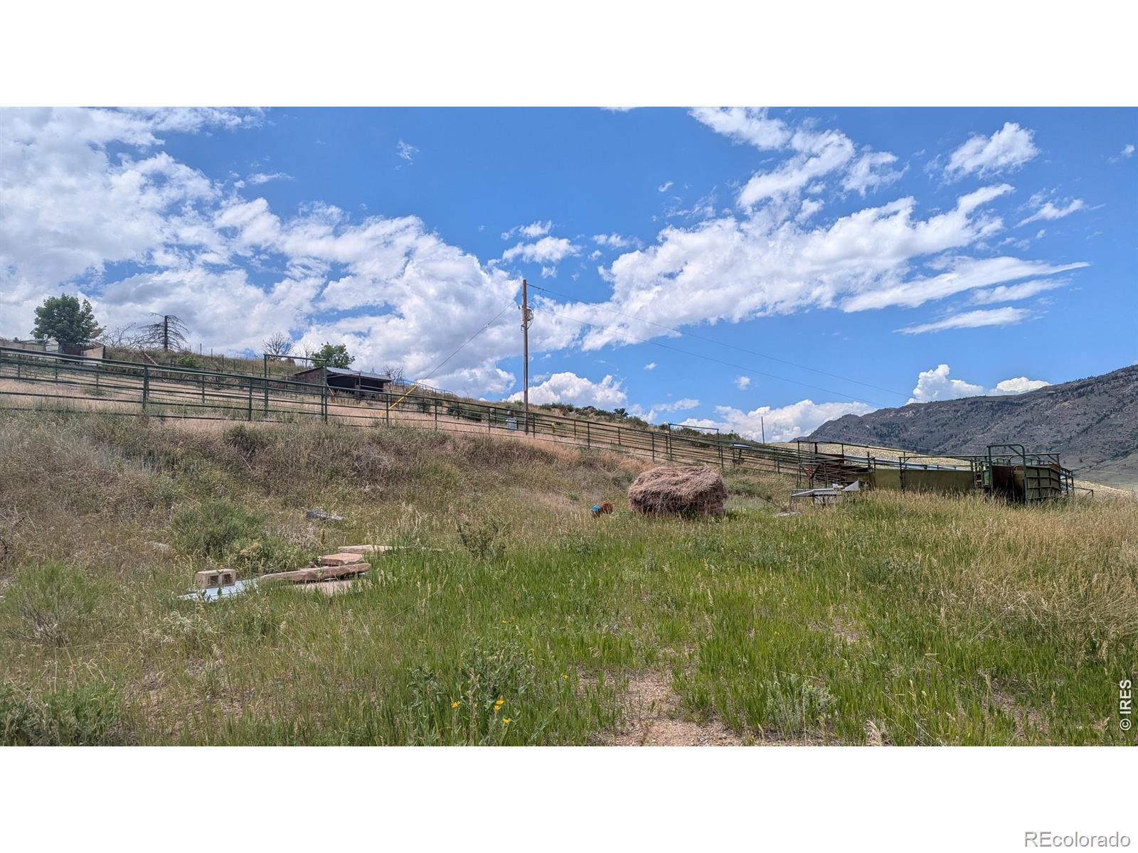 439 Redtail Ridge Way Bellvue CO 80512