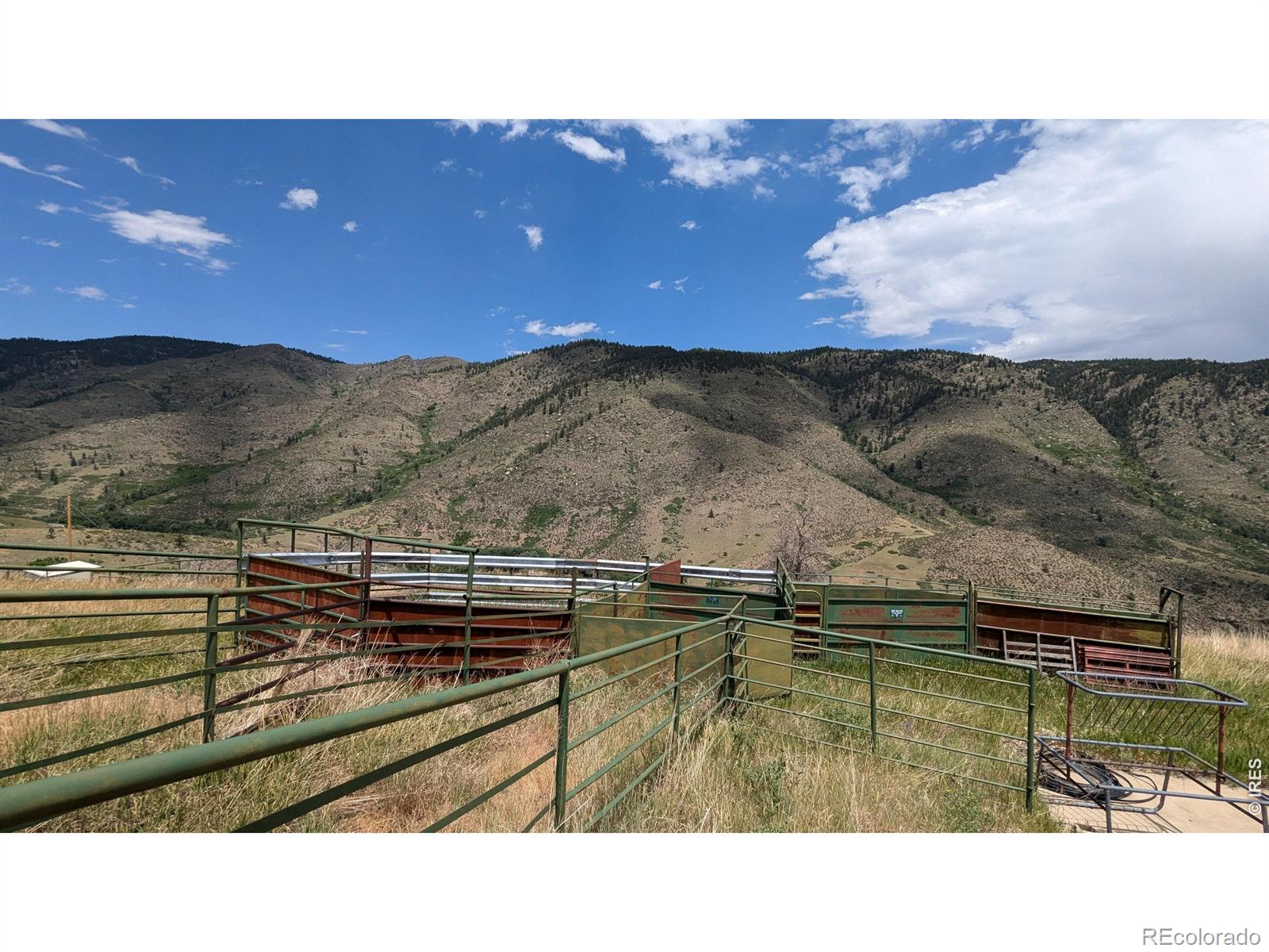 439 Redtail Ridge Way Bellvue CO 80512