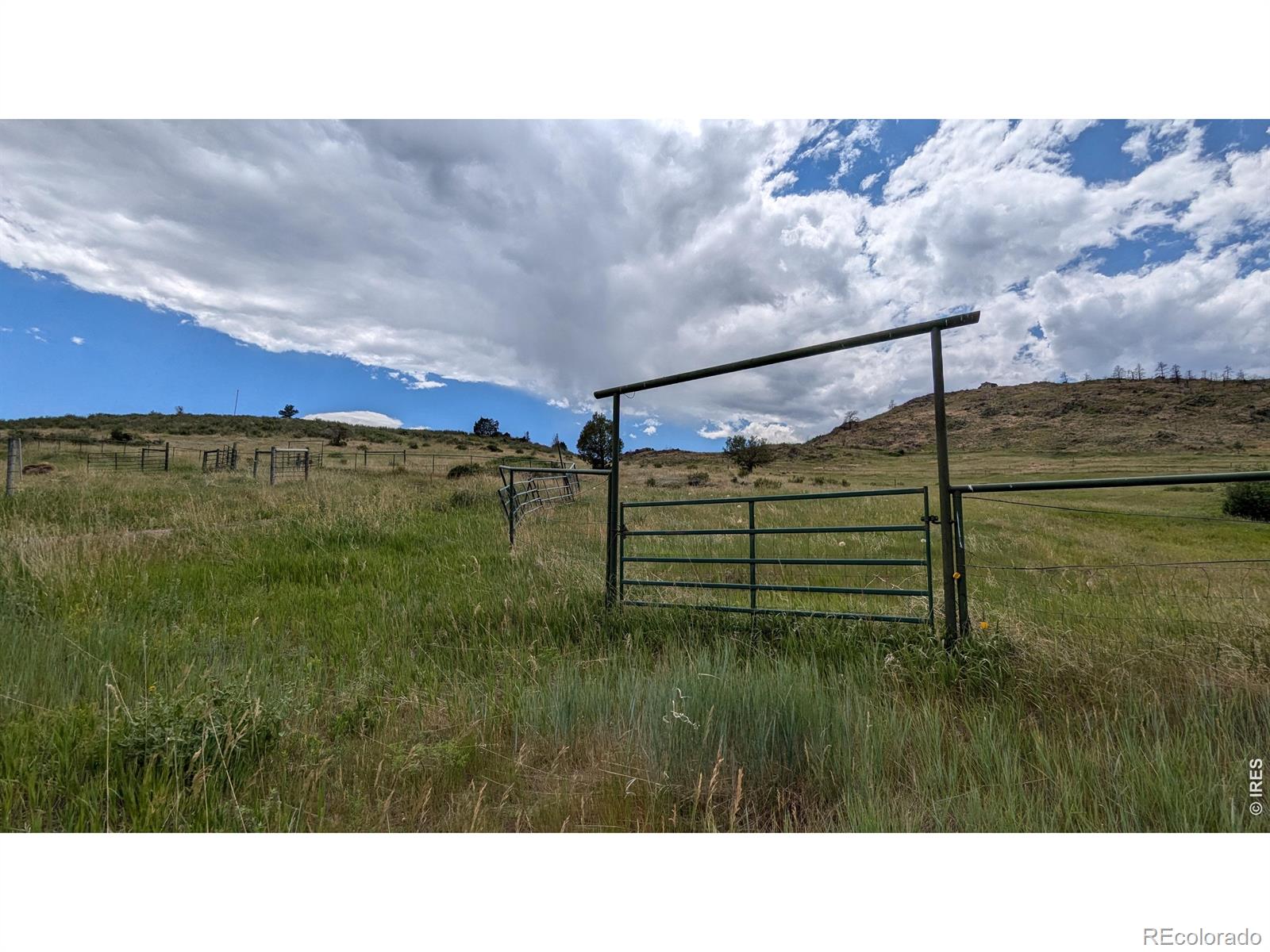 439 Redtail Ridge Way Bellvue CO 80512