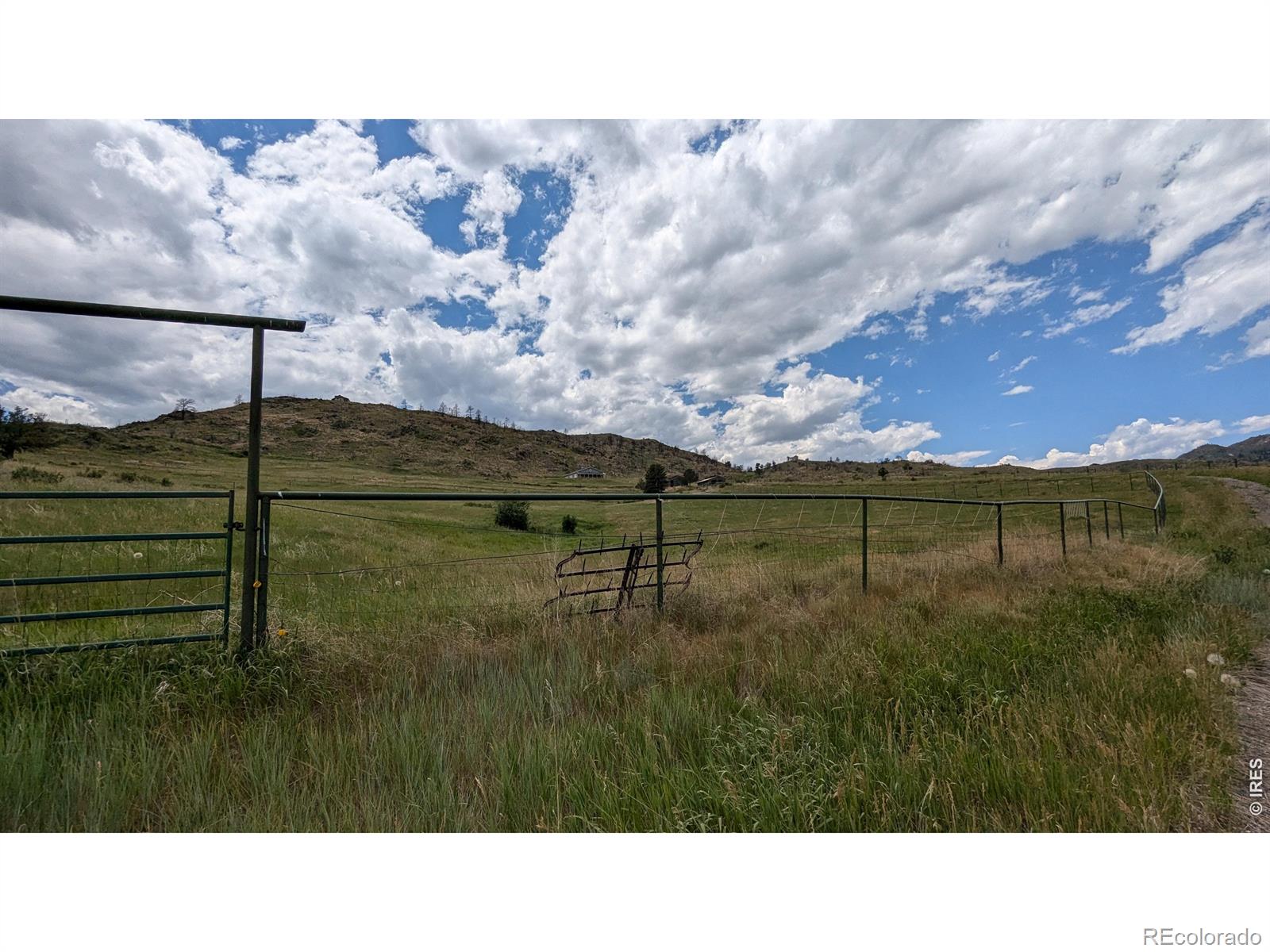 439 Redtail Ridge Way Bellvue CO 80512