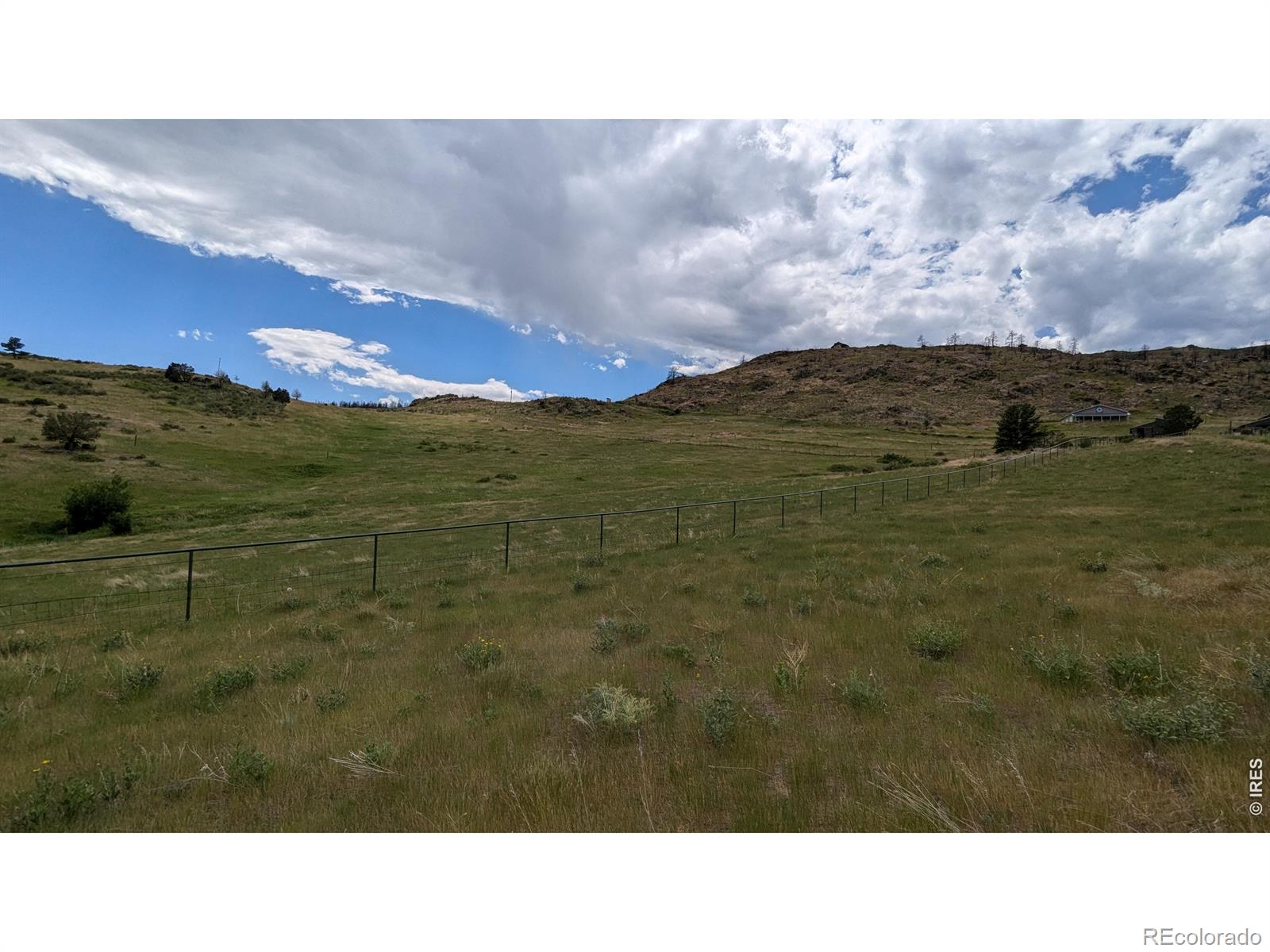 439 Redtail Ridge Way Bellvue CO 80512