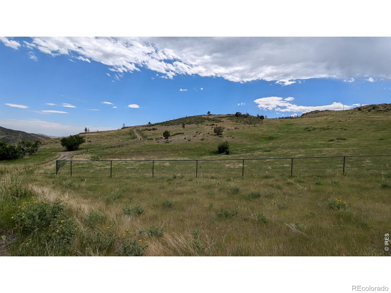 439 Redtail Ridge Way Bellvue CO 80512