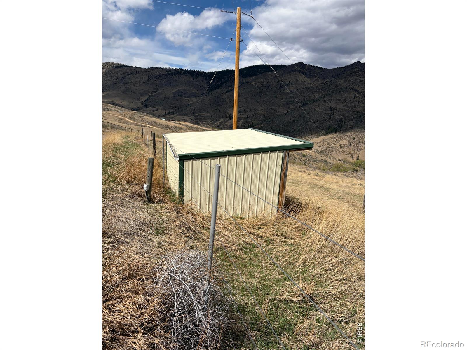 439 Redtail Ridge Way Bellvue CO 80512