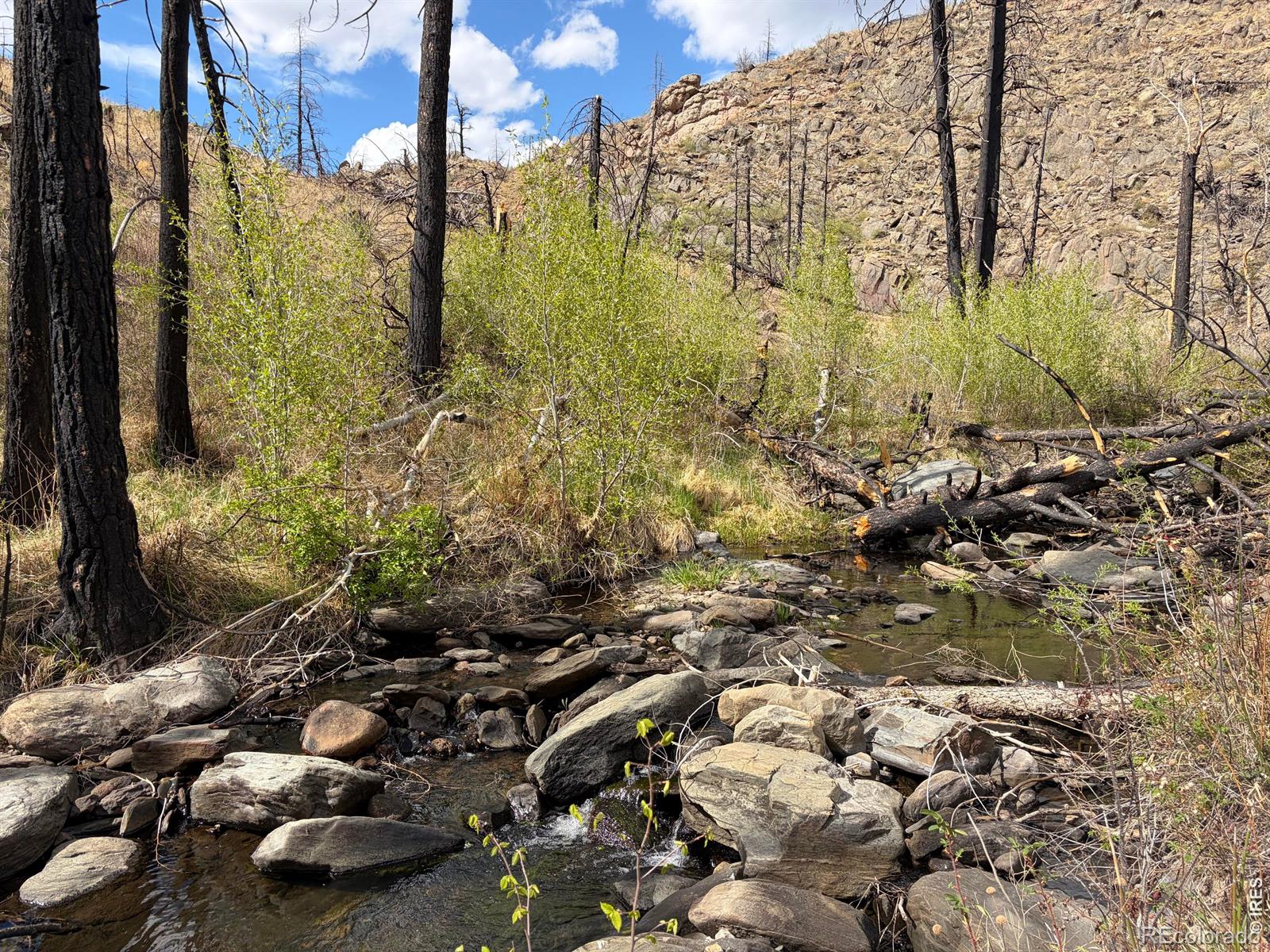 439 Redtail Ridge Way Bellvue CO 80512