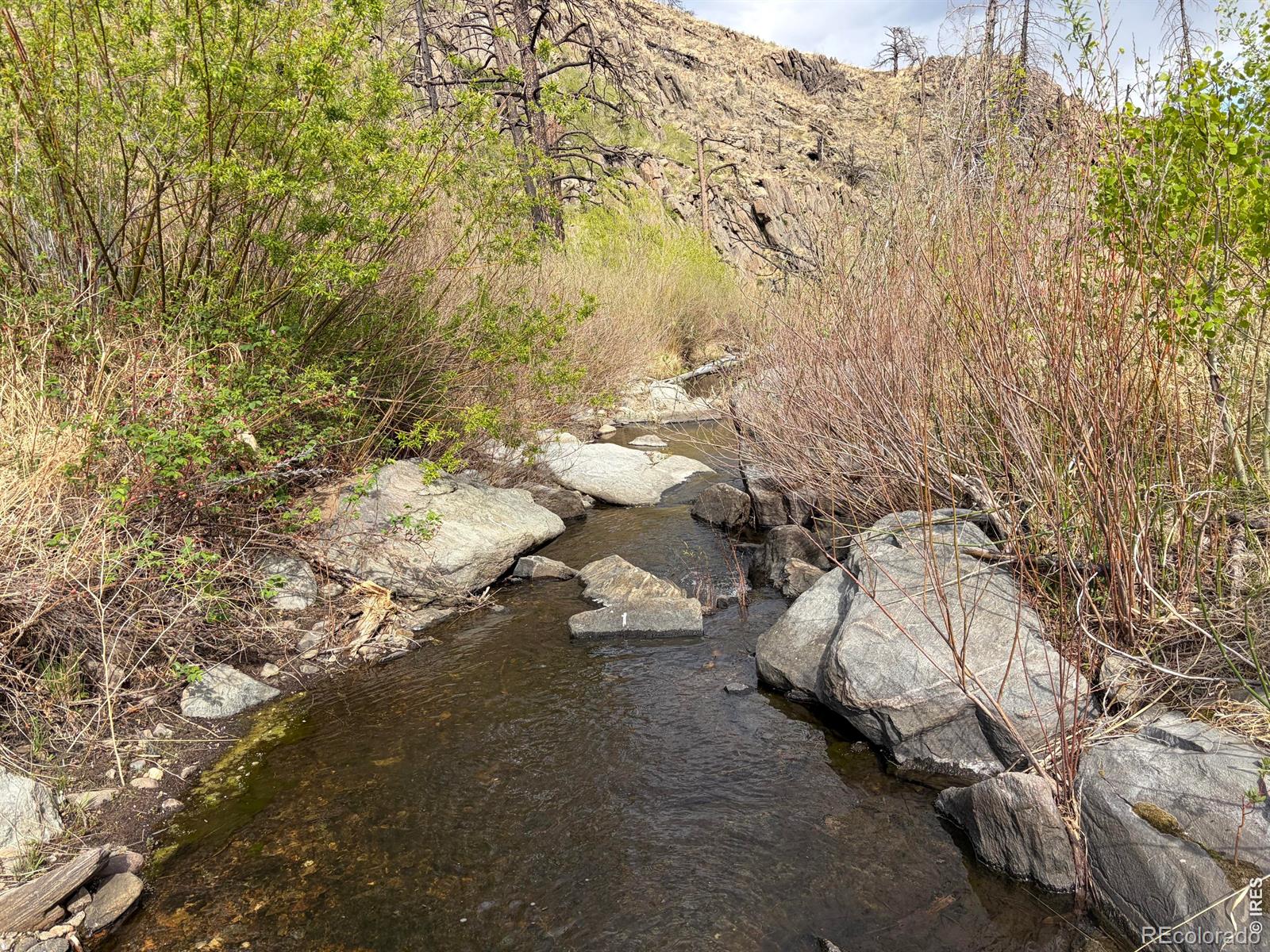 439 Redtail Ridge Way Bellvue CO 80512