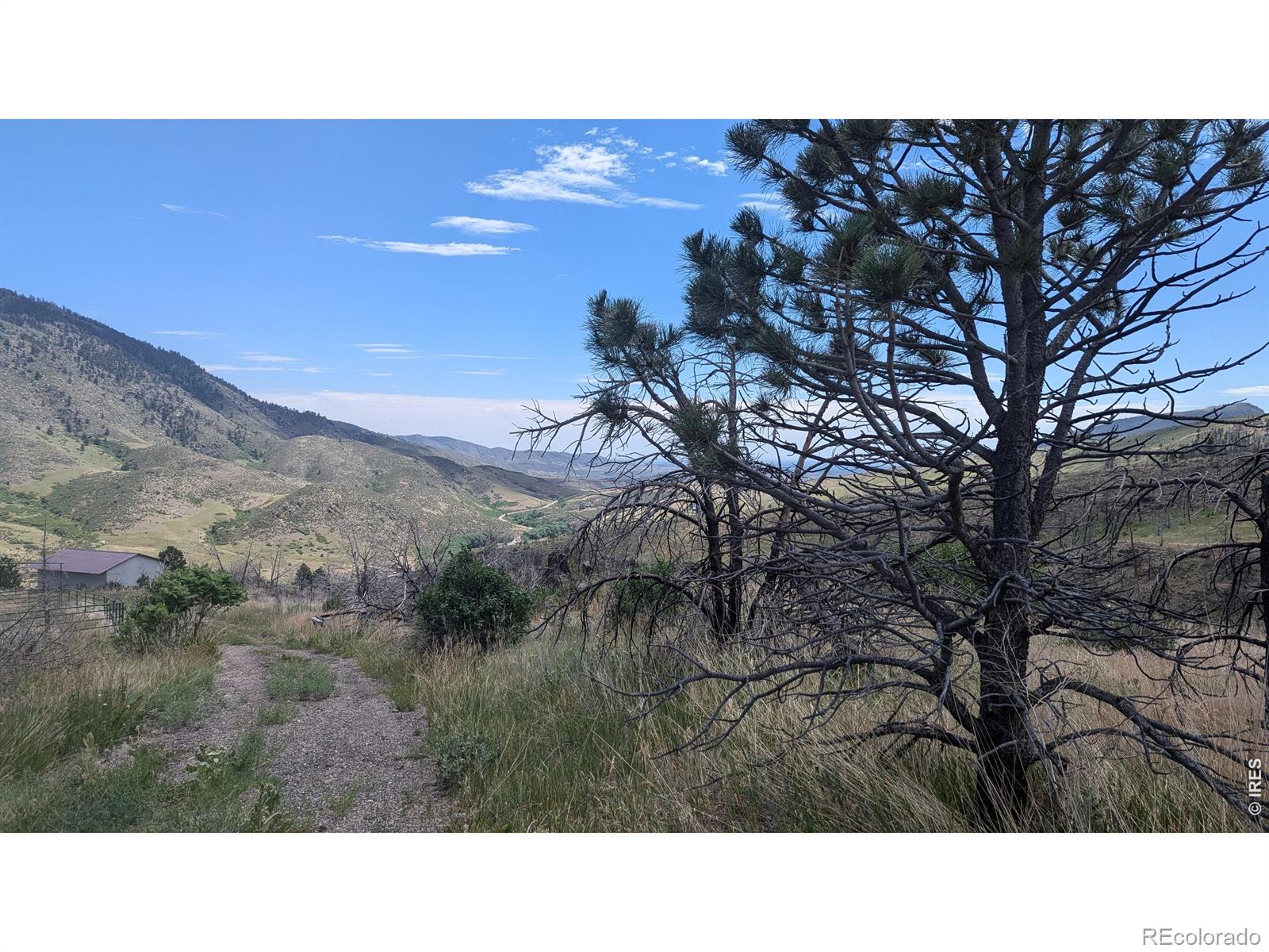 439 Redtail Ridge Way Bellvue CO 80512