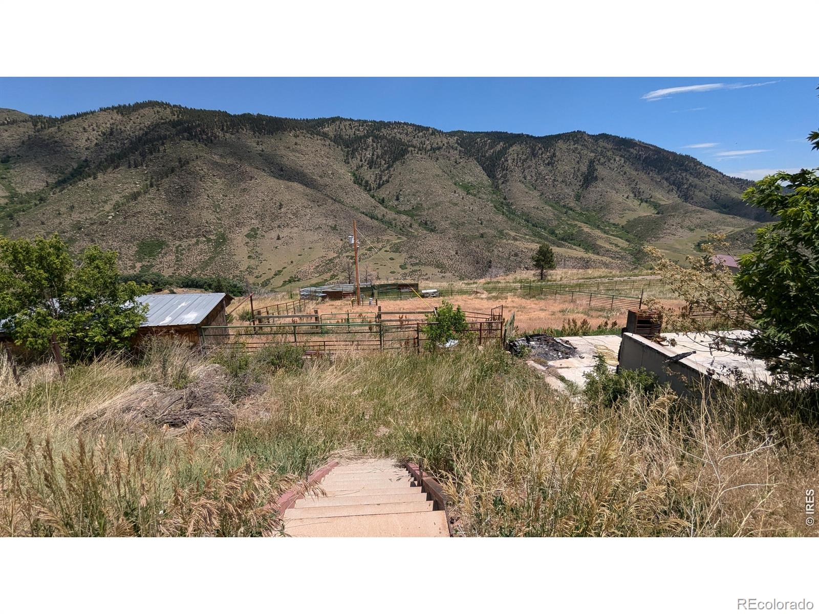 439 Redtail Ridge Way Bellvue CO 80512