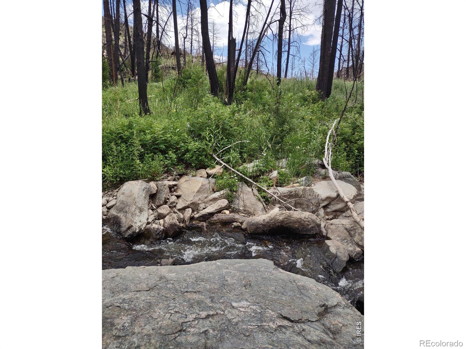 439 Redtail Ridge Way Bellvue CO 80512