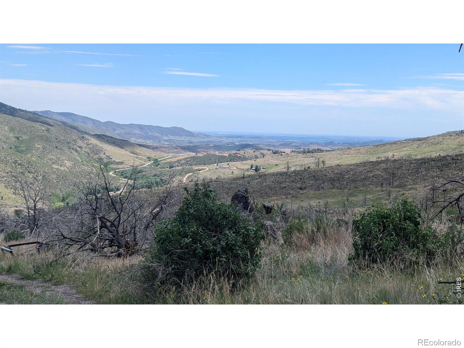 439 Redtail Ridge Way Bellvue CO 80512
