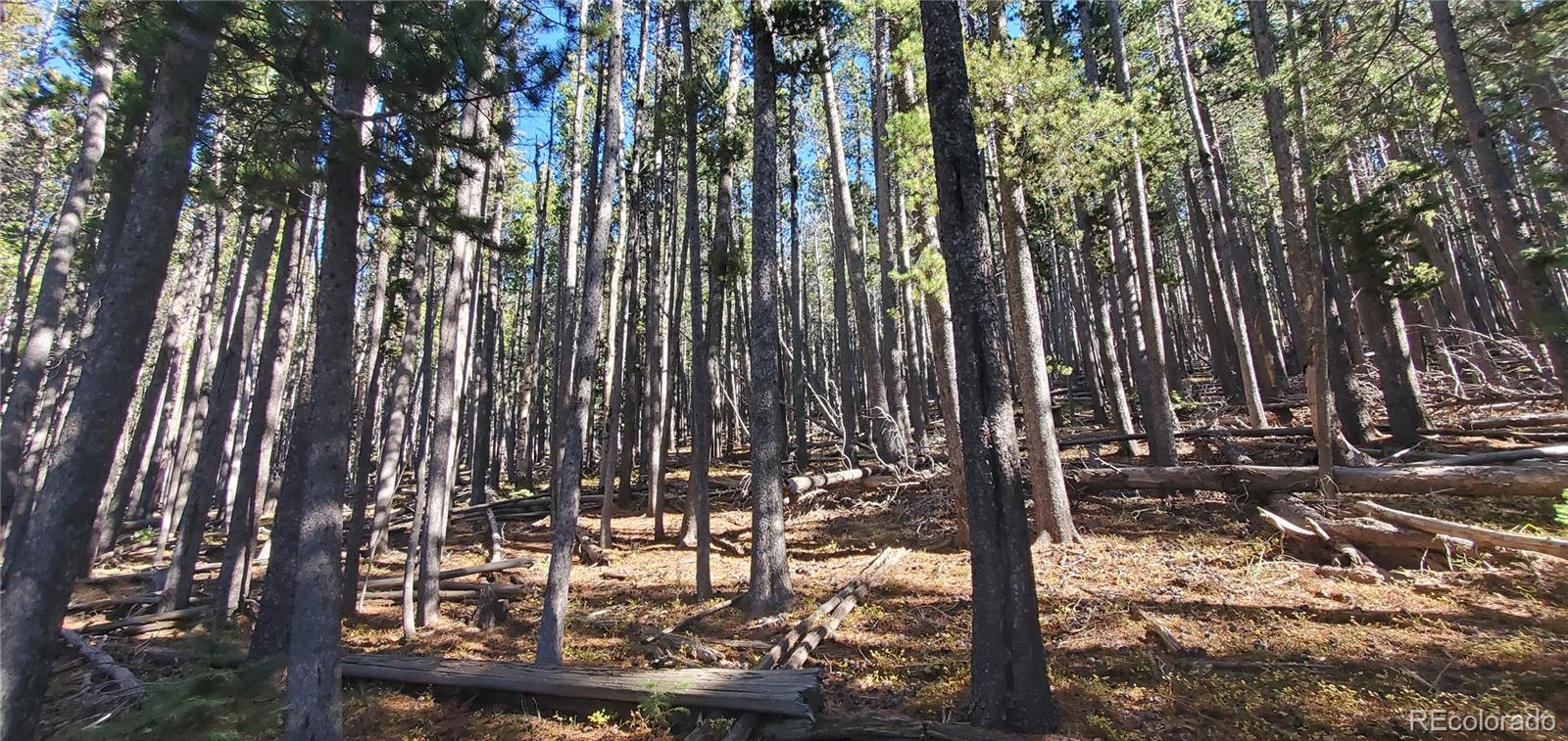 Lot 2682 & 2683 Purnell Lane Fort Garland CO 81133