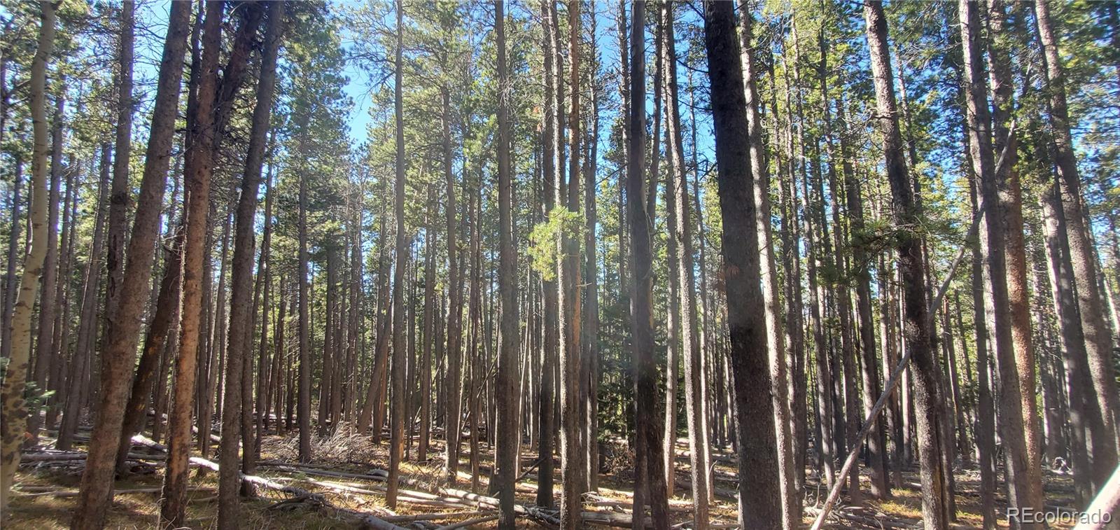 Lot 2682 & 2683 Purnell Lane Fort Garland CO 81133