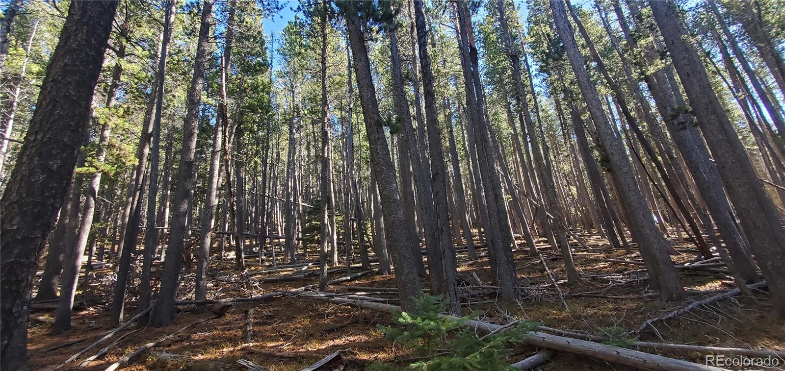 Lot 2682 & 2683 Purnell Lane Fort Garland CO 81133