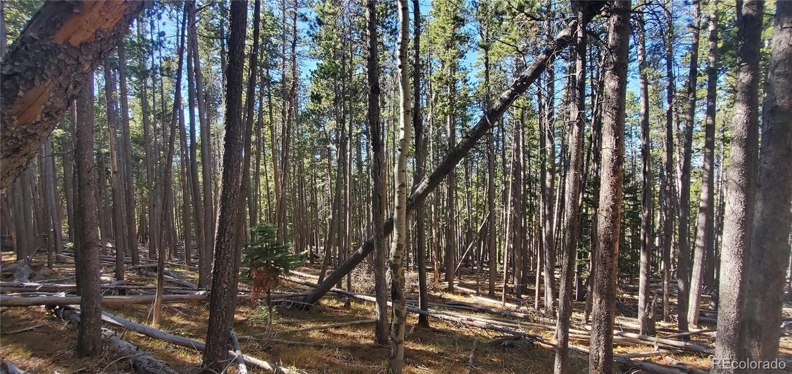 Lot 2682 & 2683 Purnell Lane Fort Garland CO 81133