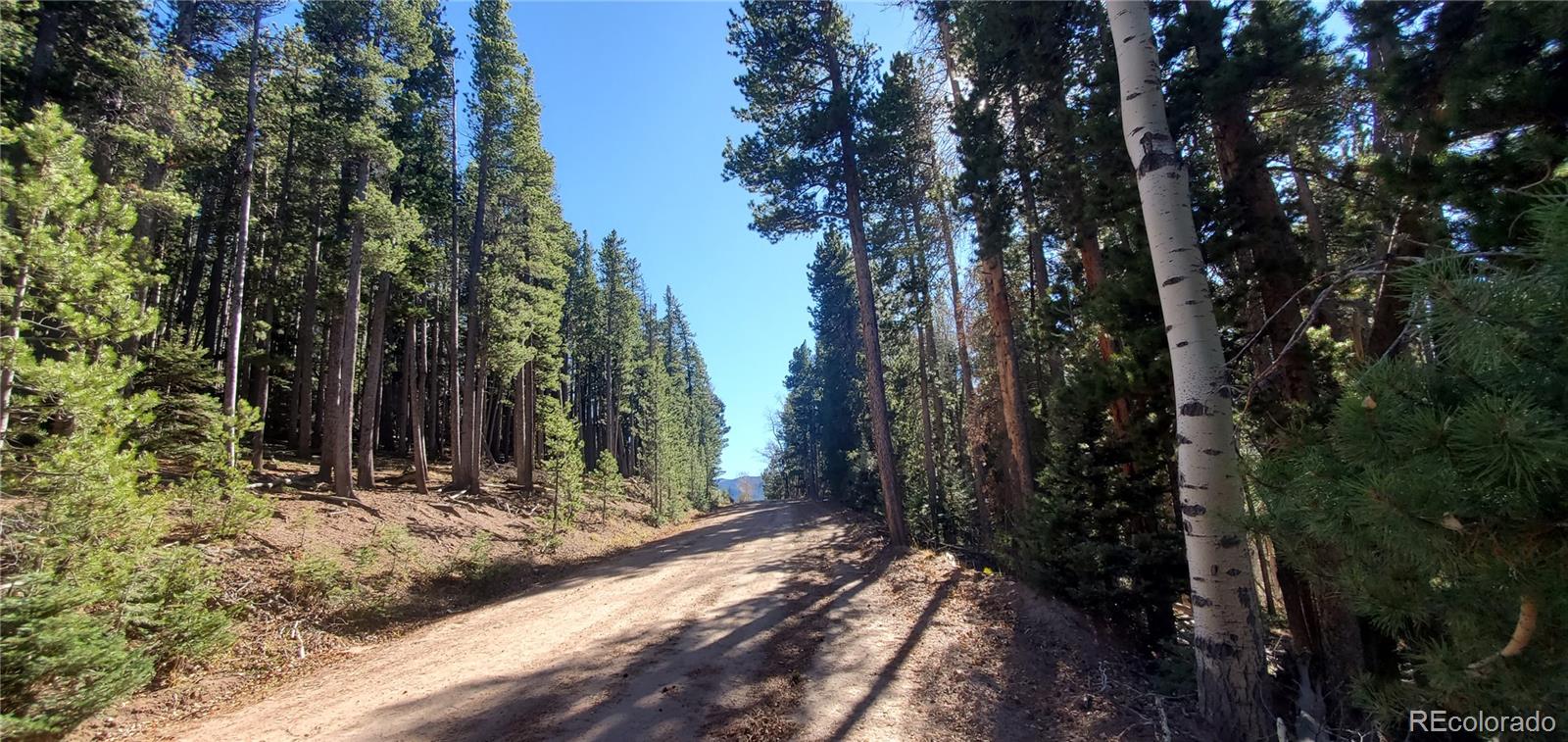 Lot 2682 & 2683 Purnell Lane Fort Garland CO 81133