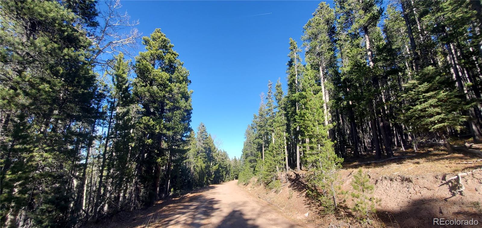 Lot 2682 & 2683 Purnell Lane Fort Garland CO 81133