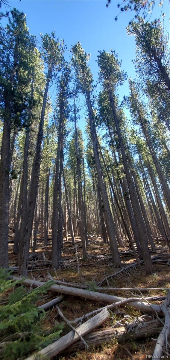 Lot 2682 & 2683 Purnell Lane Fort Garland CO 81133