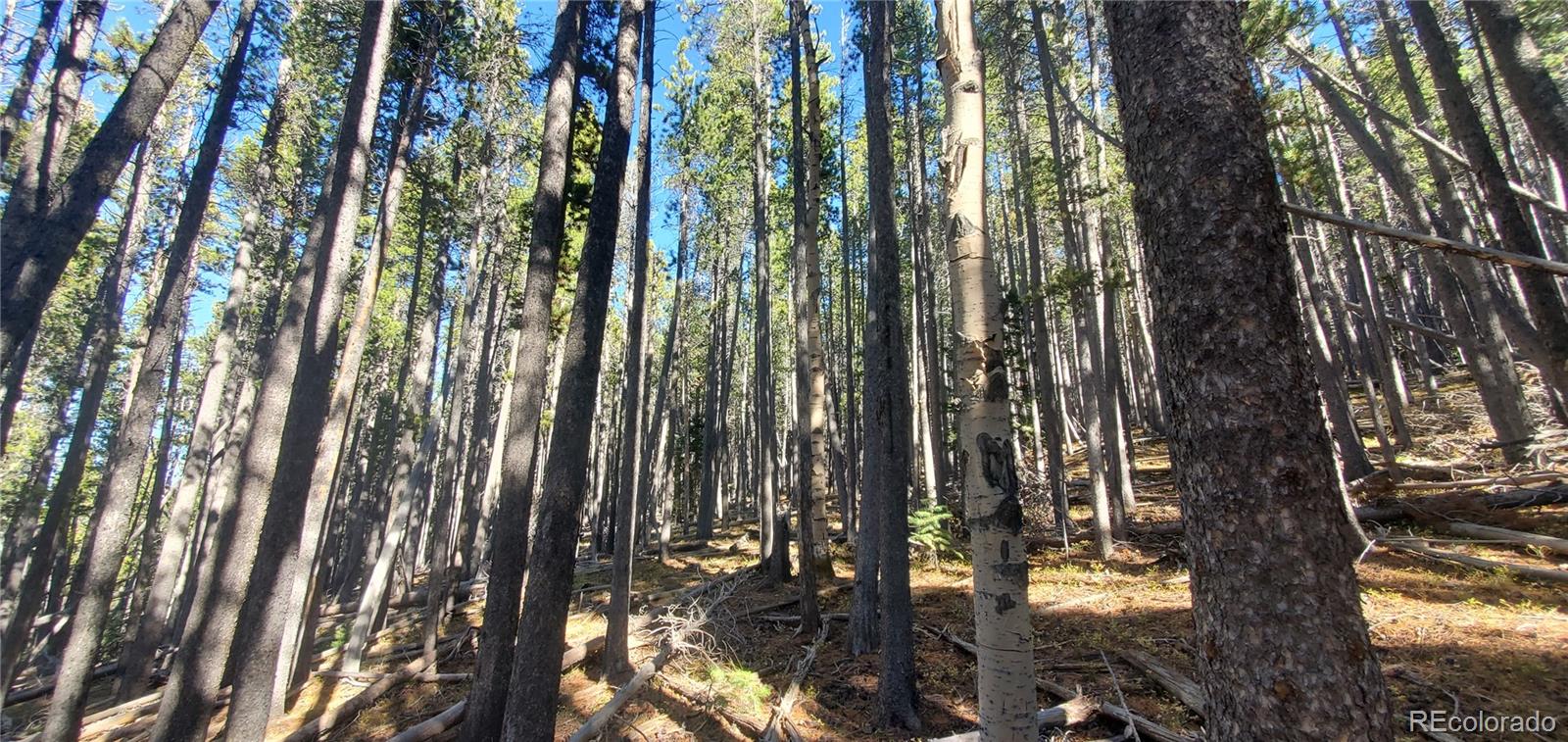 Lot 2682 & 2683 Purnell Lane Fort Garland CO 81133